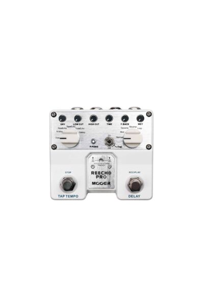 MOOER Reecho Pro