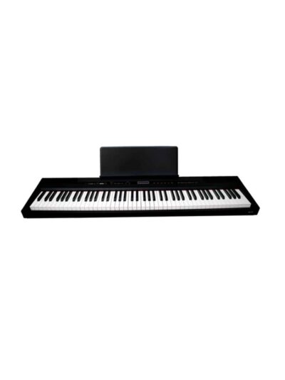 Piano 88 Tasti Pesati - ECHORD SP10