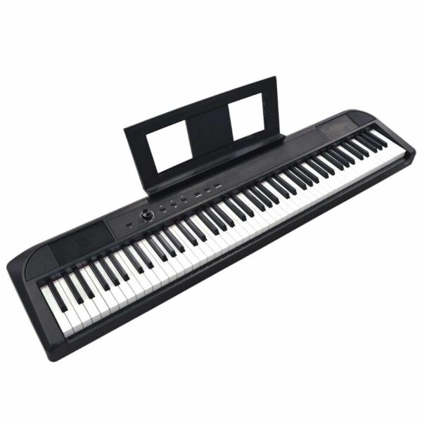 ECHORD DP1 Black