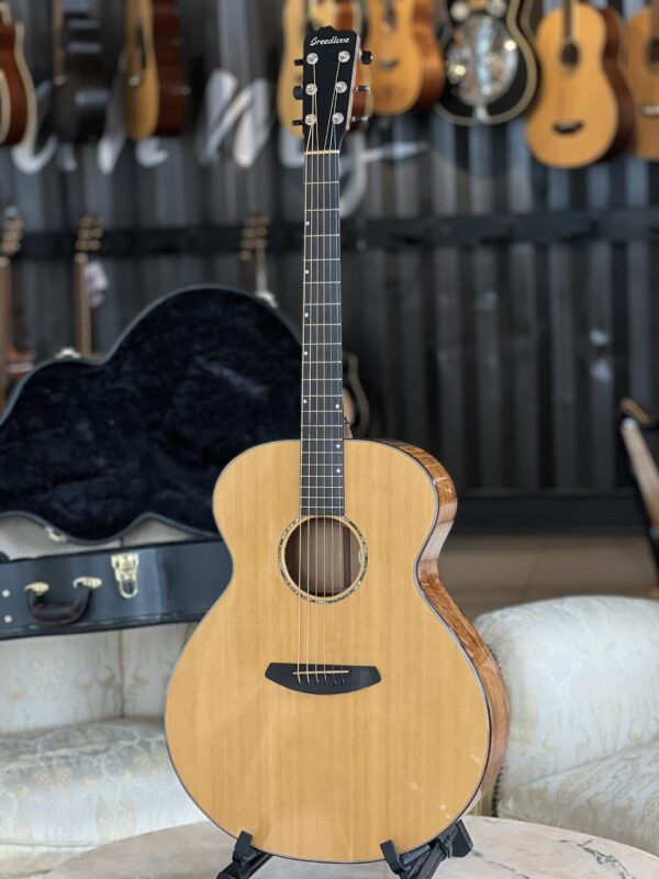 BREEDLOVE PRJ21E - PREMIER JUMBO MAHOGANY