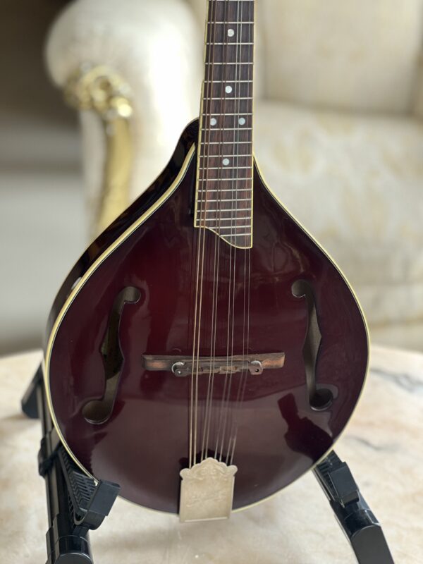 Kentucky KM-254 Mandolin - immagine 2