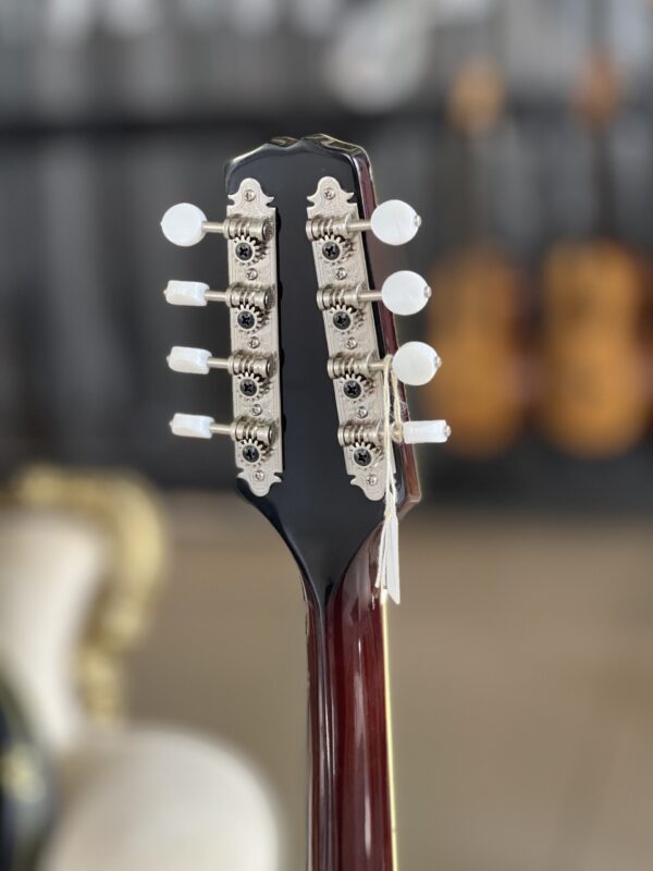 Kentucky KM-254 Mandolin - immagine 5