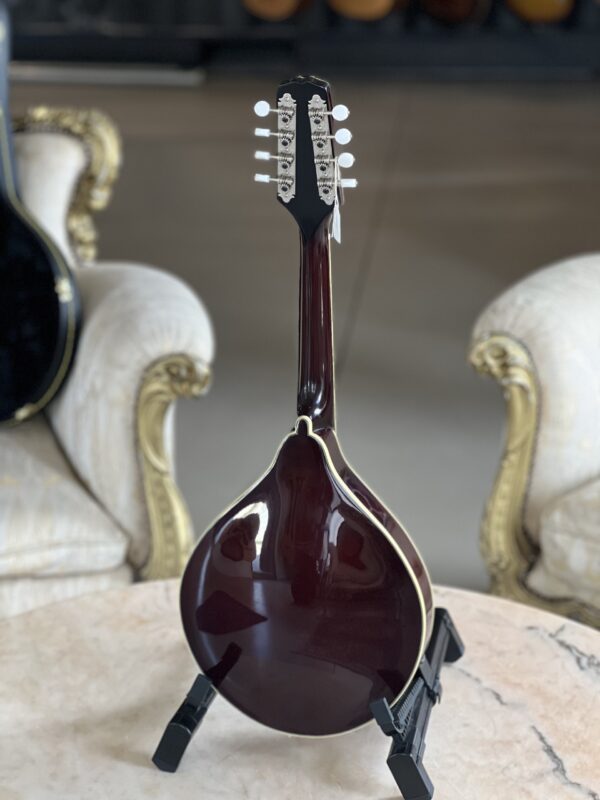 Kentucky KM-254 Mandolin - immagine 6