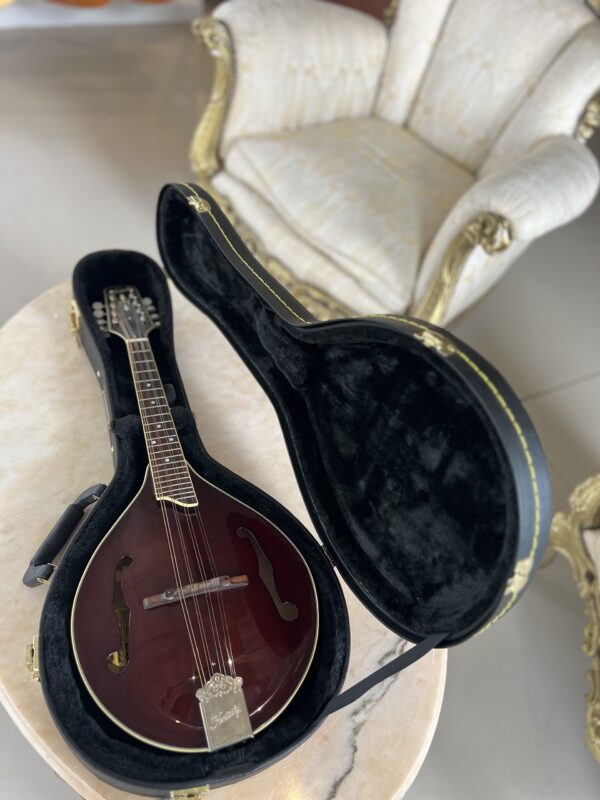 Kentucky KM-254 Mandolin - immagine 7