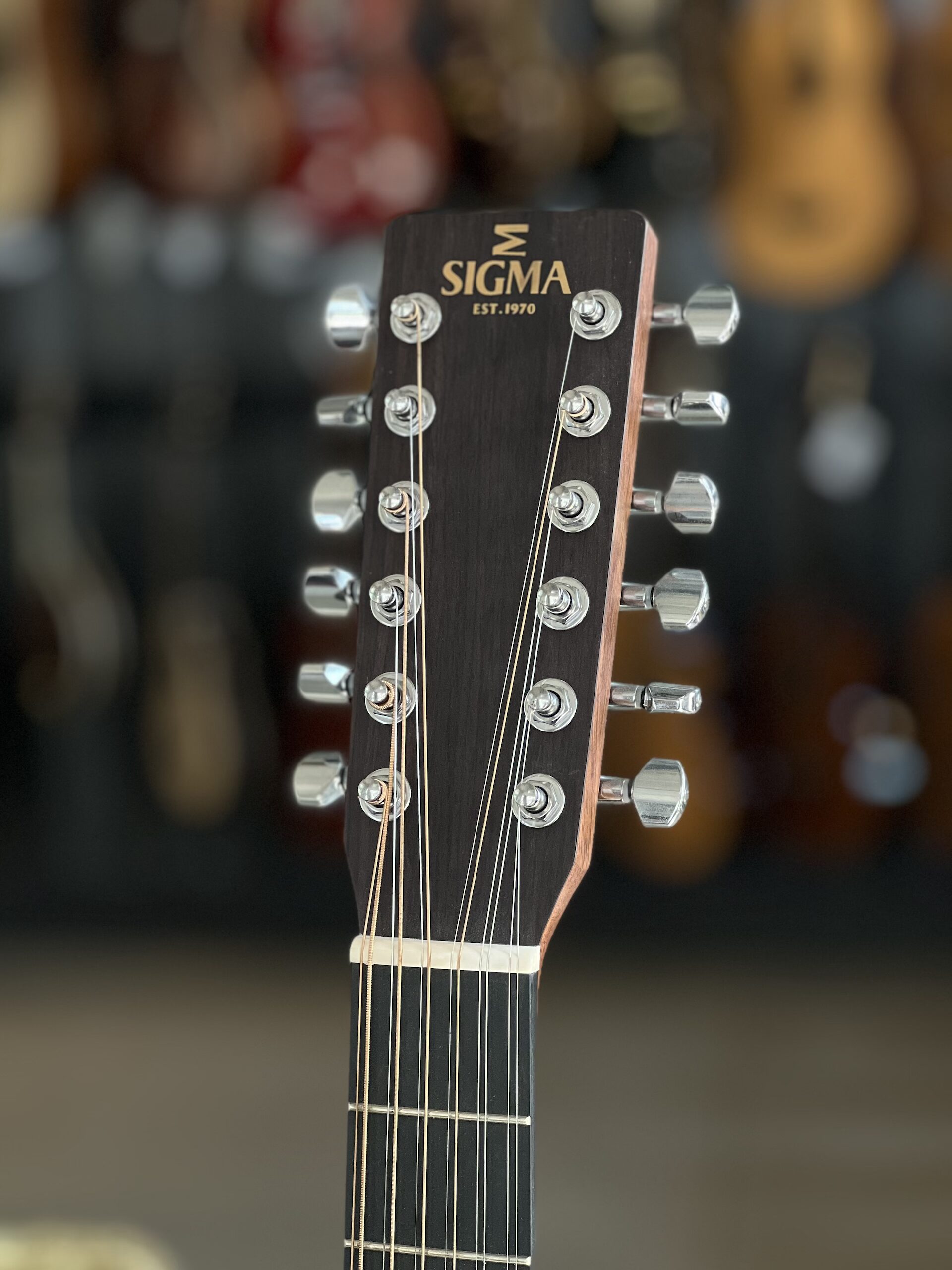 SIGMA DM-12E - immagine 5