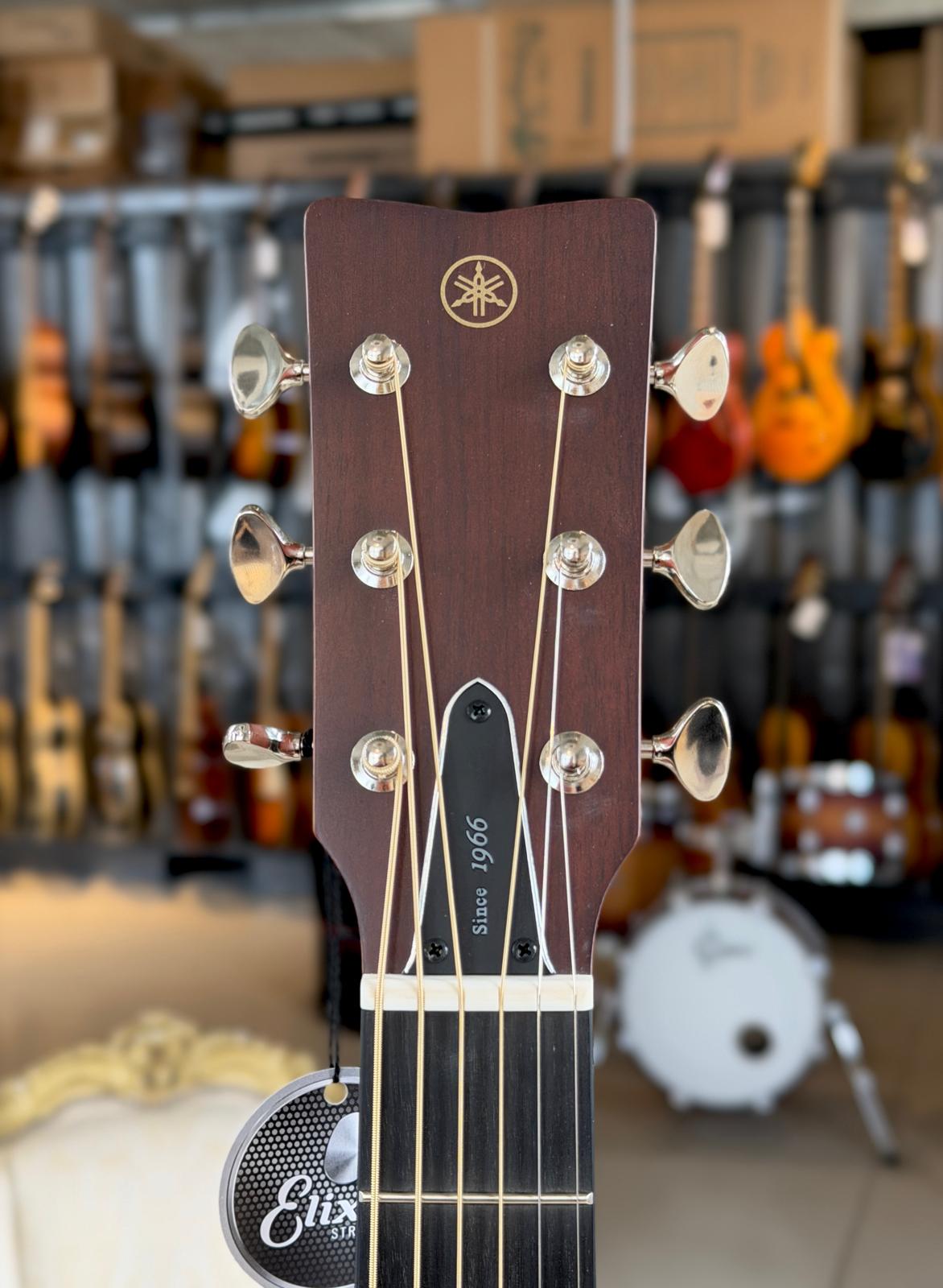 YAMAHA FGX-5 High Gloss - immagine 3