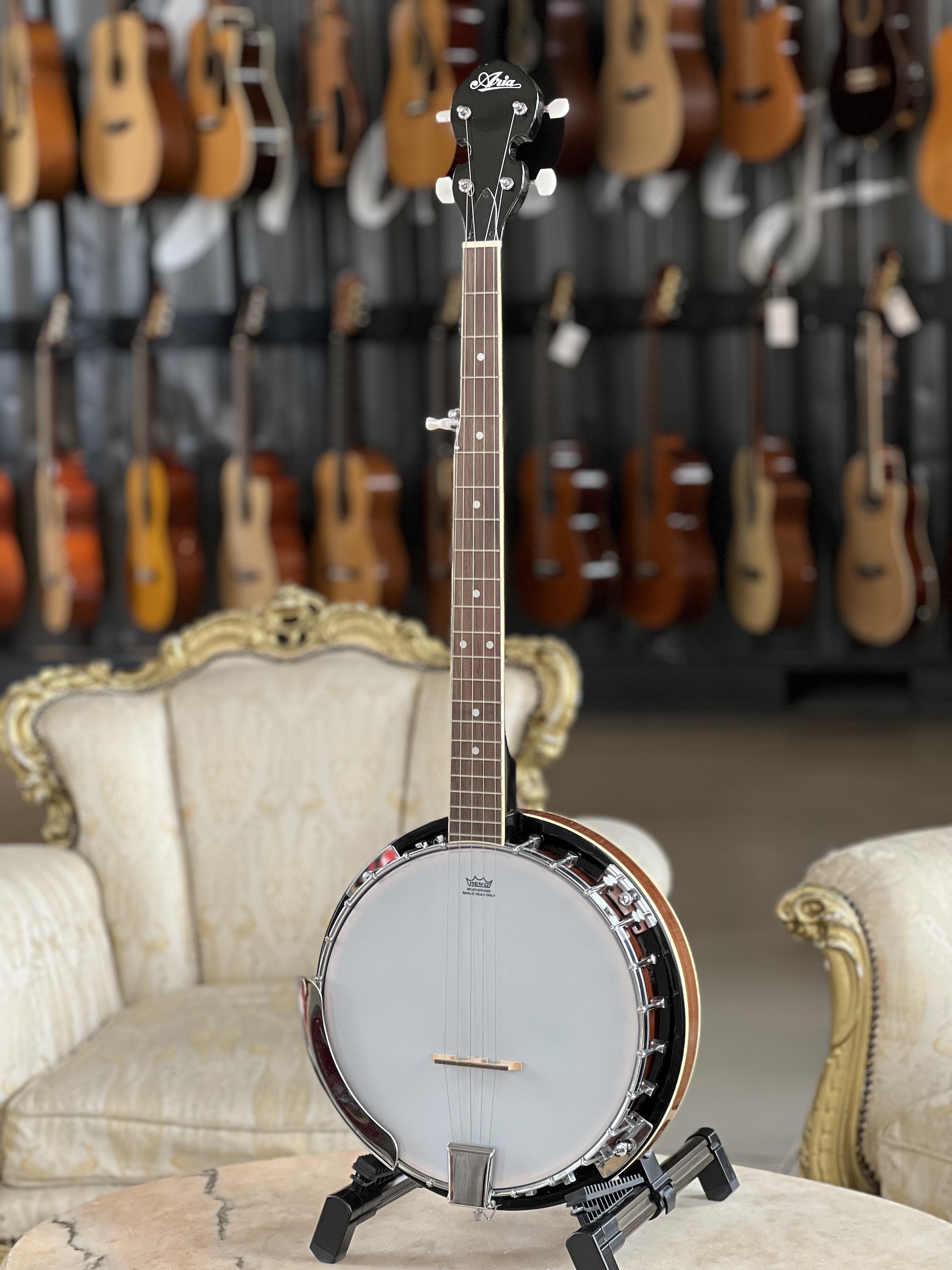 Aria SB-10 Banjo 5 Strings