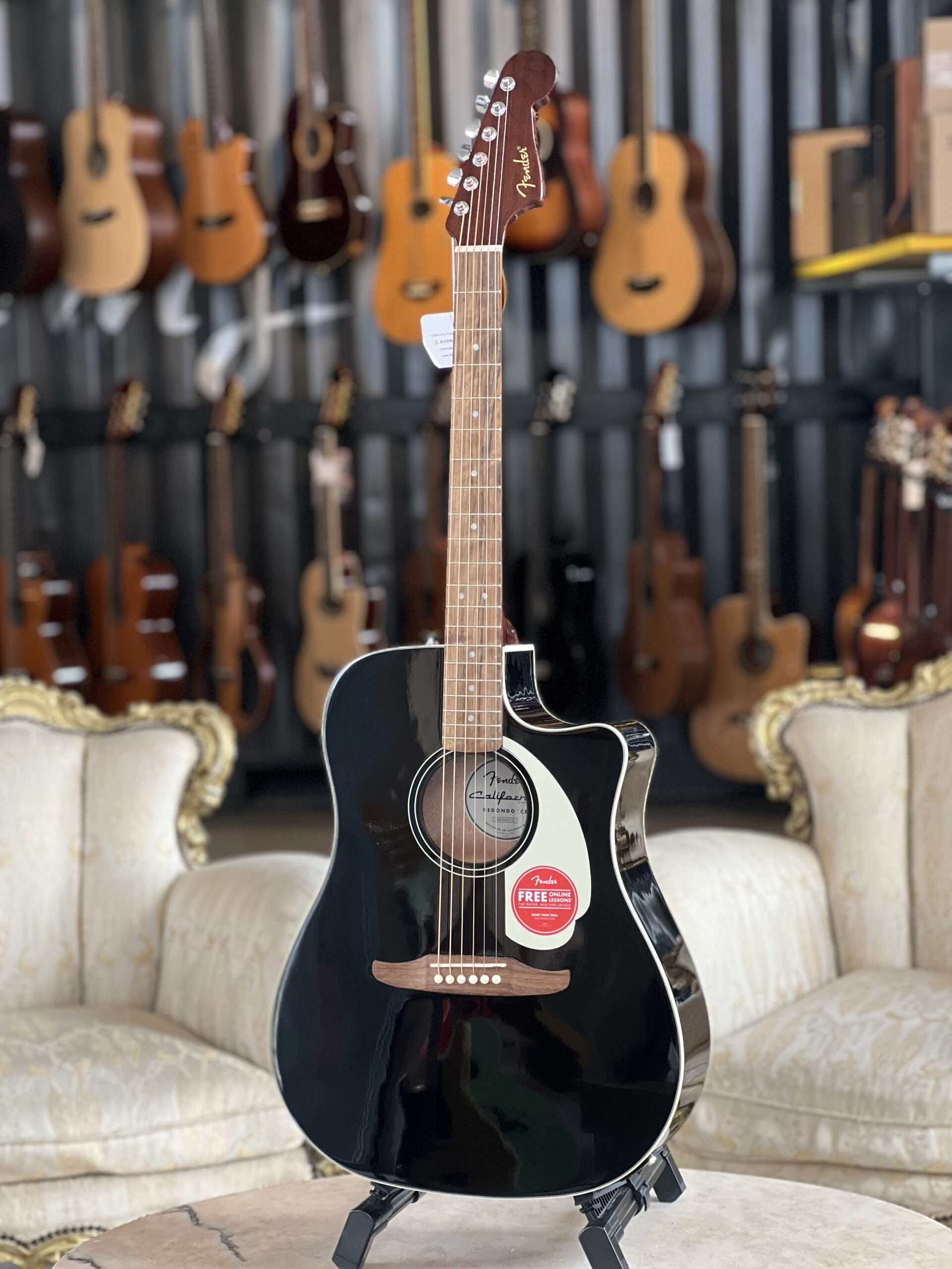 Fender CA STD Redondo CE IPG BLK