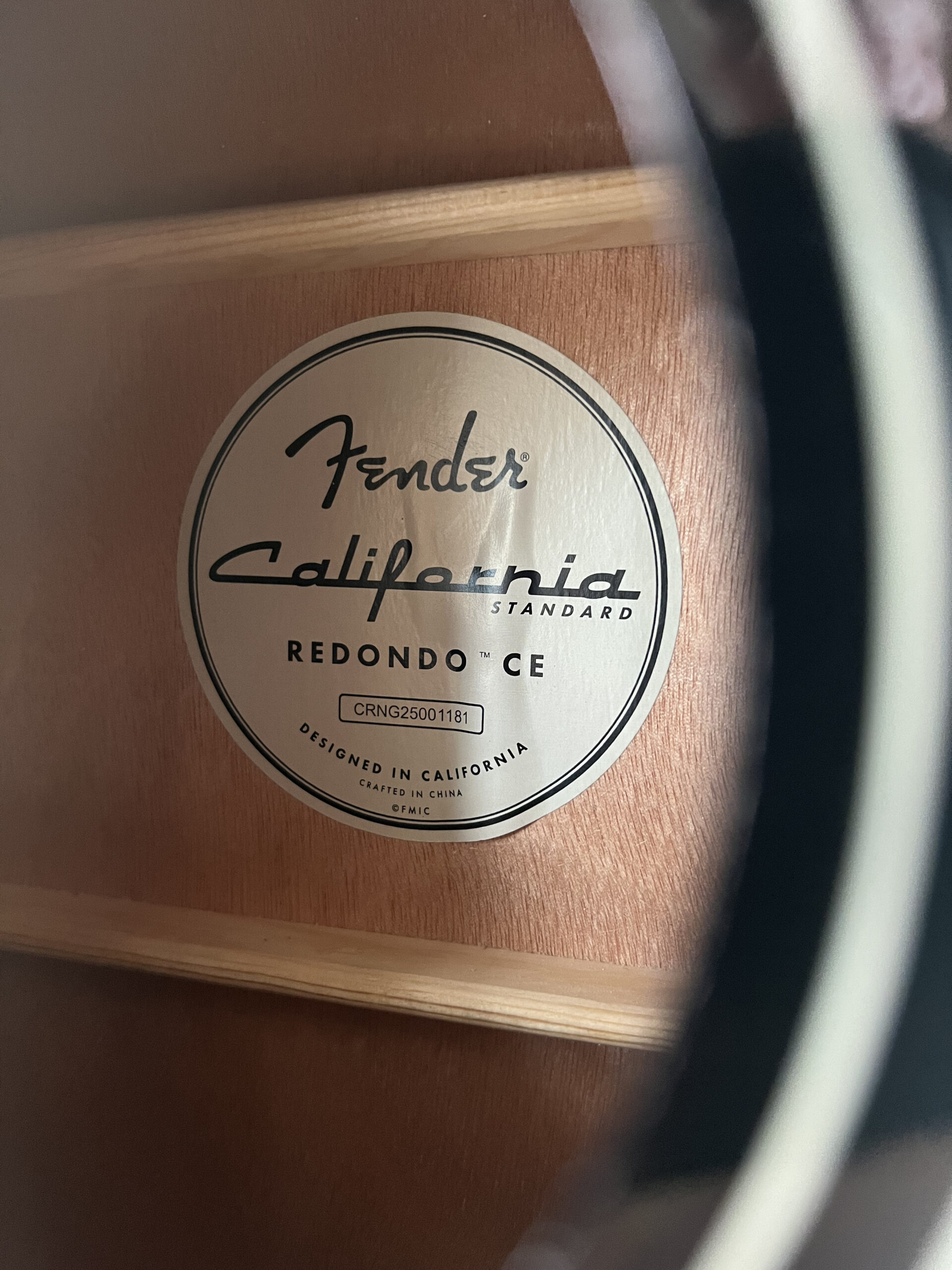 Fender CA STD Redondo CE IPG BLK - immagine 6