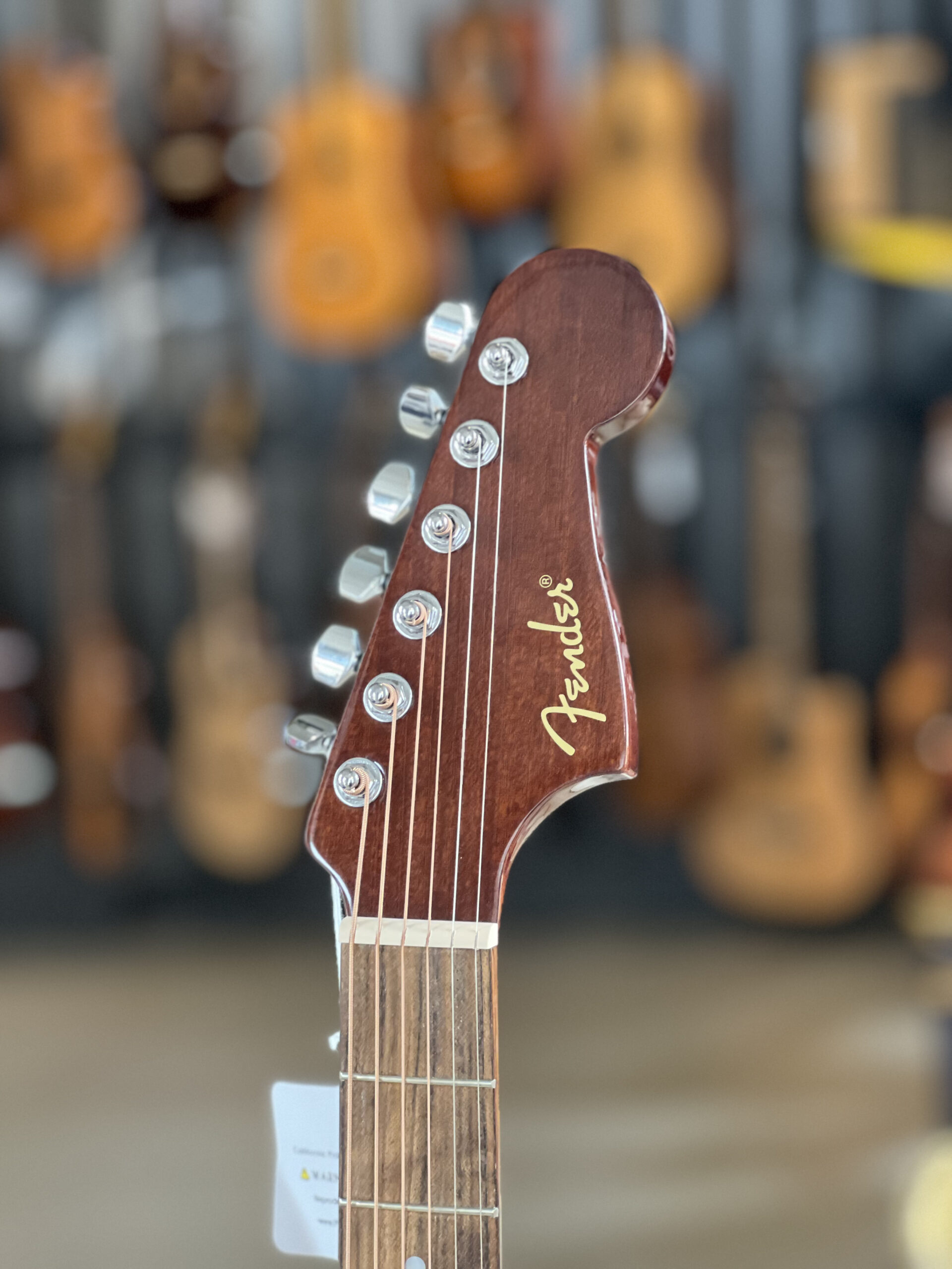 Fender CA STD Redondo CE IPG BLK - immagine 5