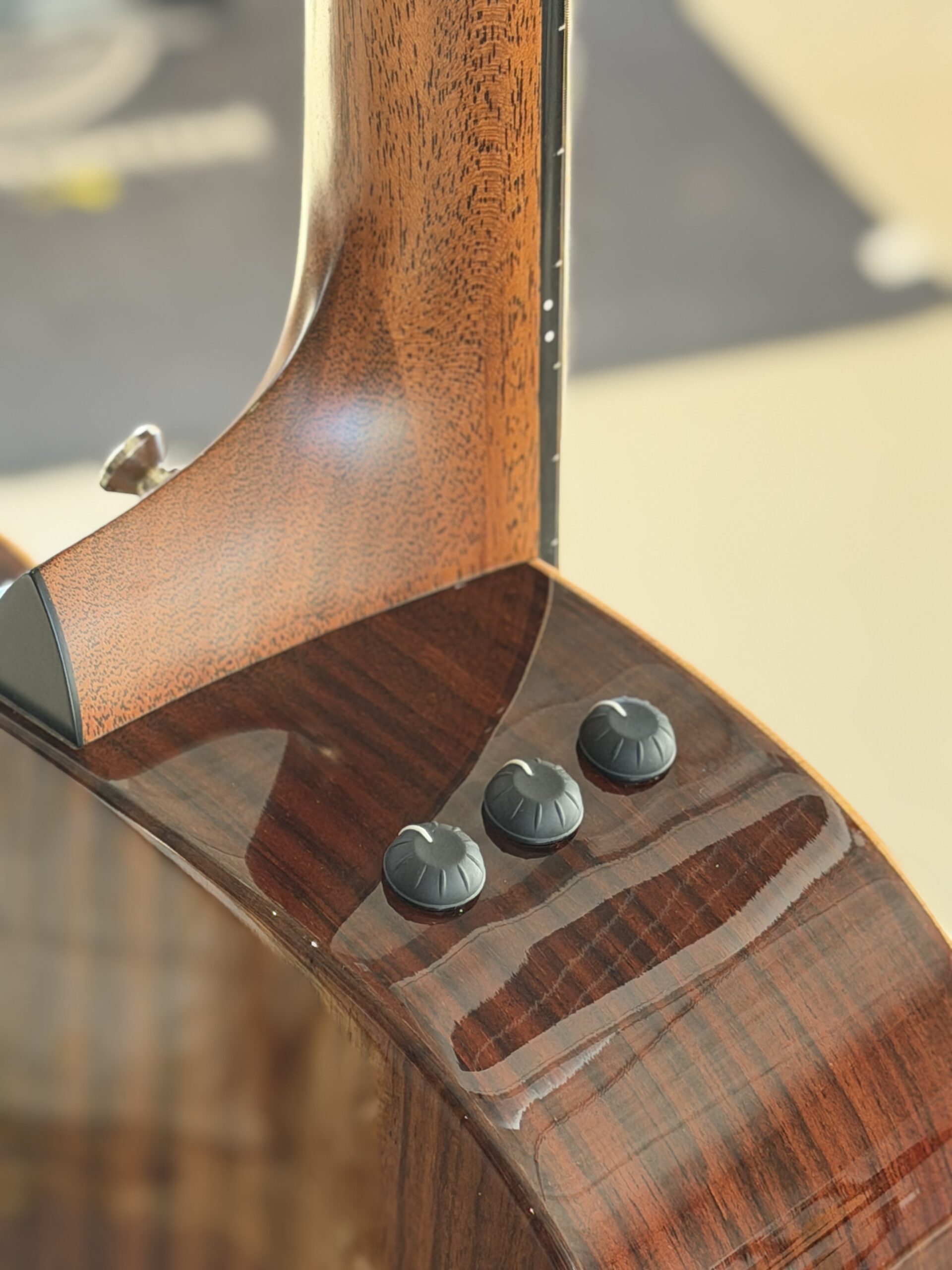 TAYLOR 414ce Studio Special Edition Honeyburst - immagine 3