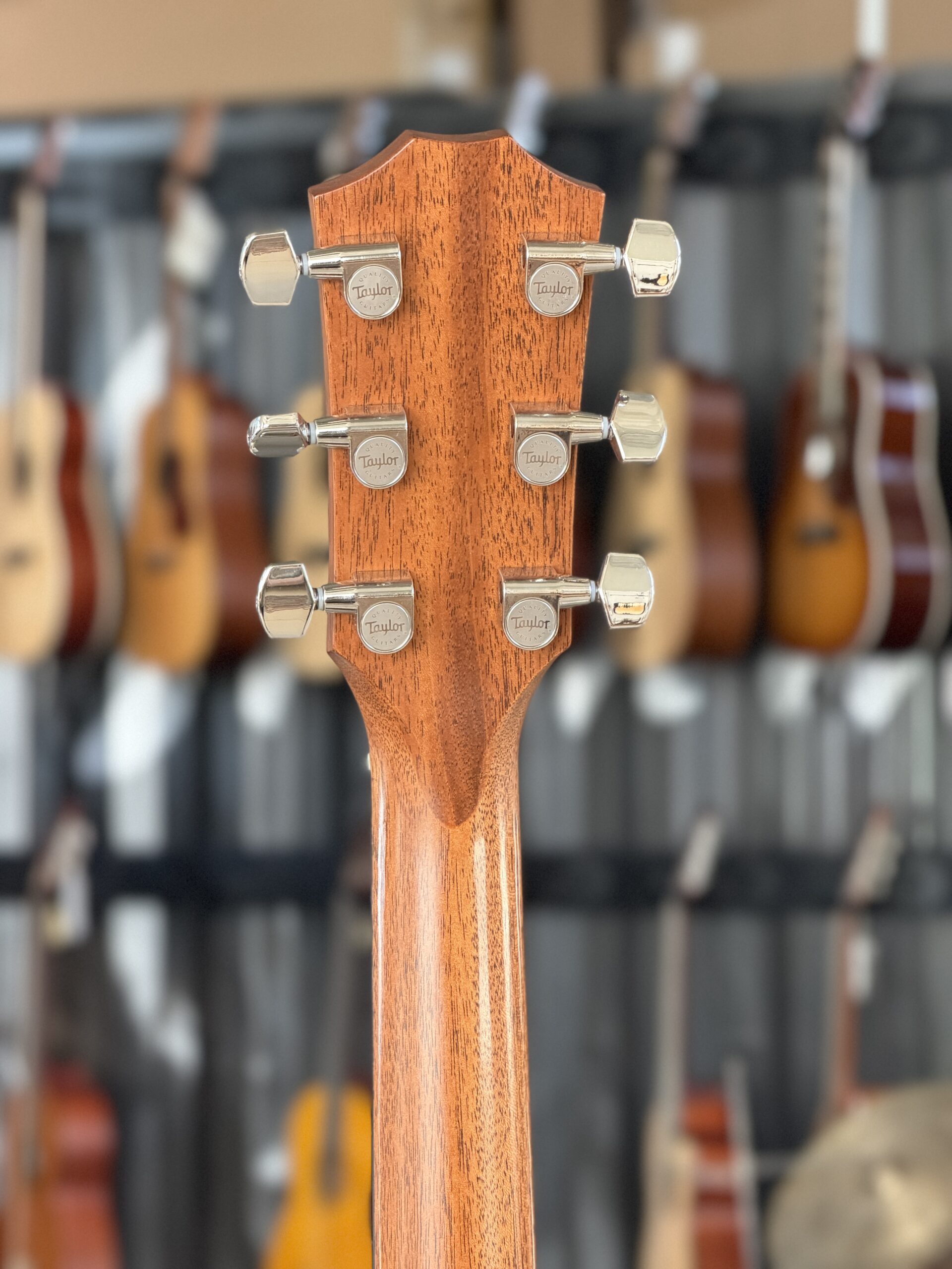 TAYLOR 414ce Studio Special Edition Honeyburst - immagine 8