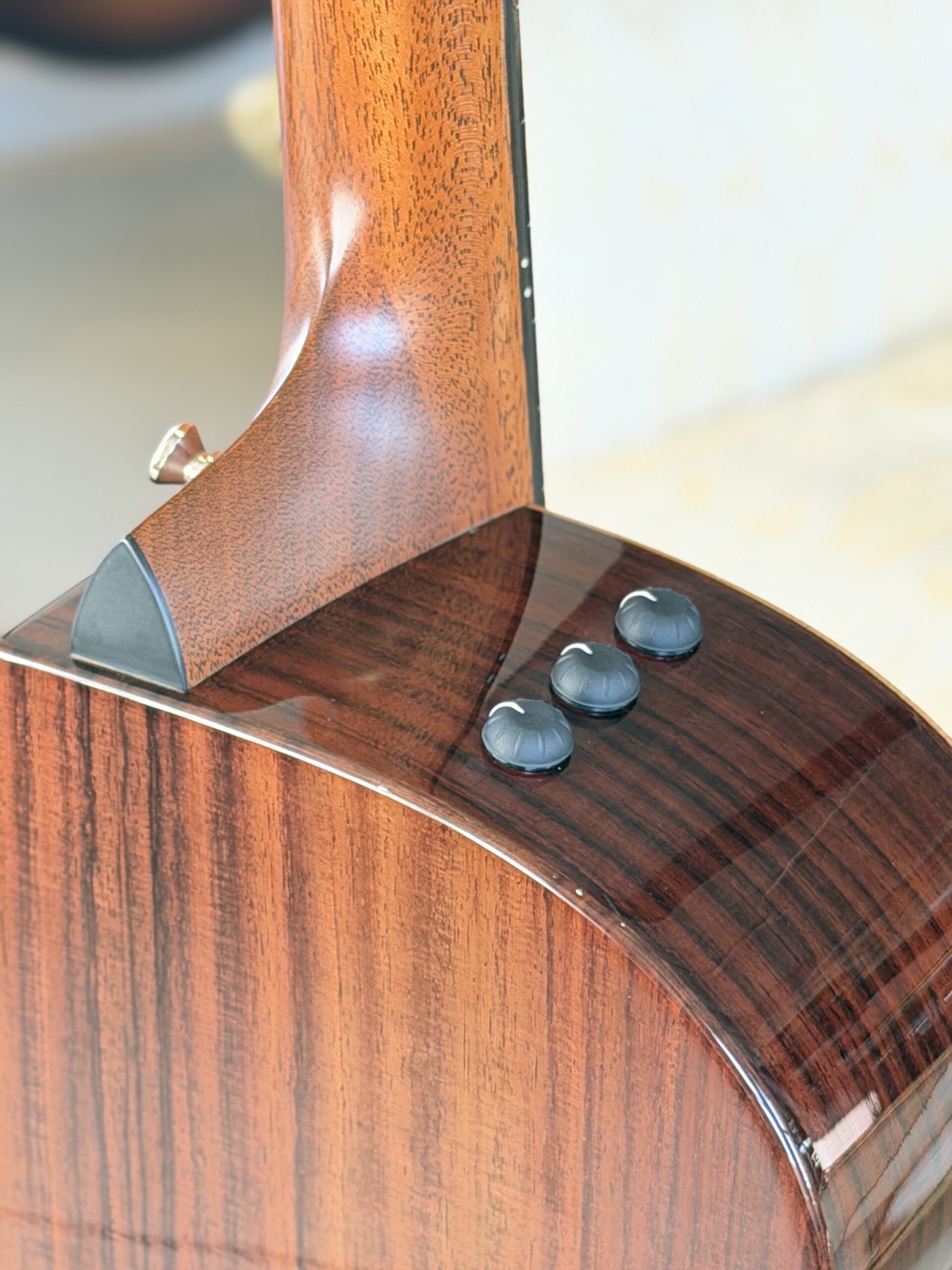 TAYLOR 414ce Studio Special Edition Honeyburst - immagine 9
