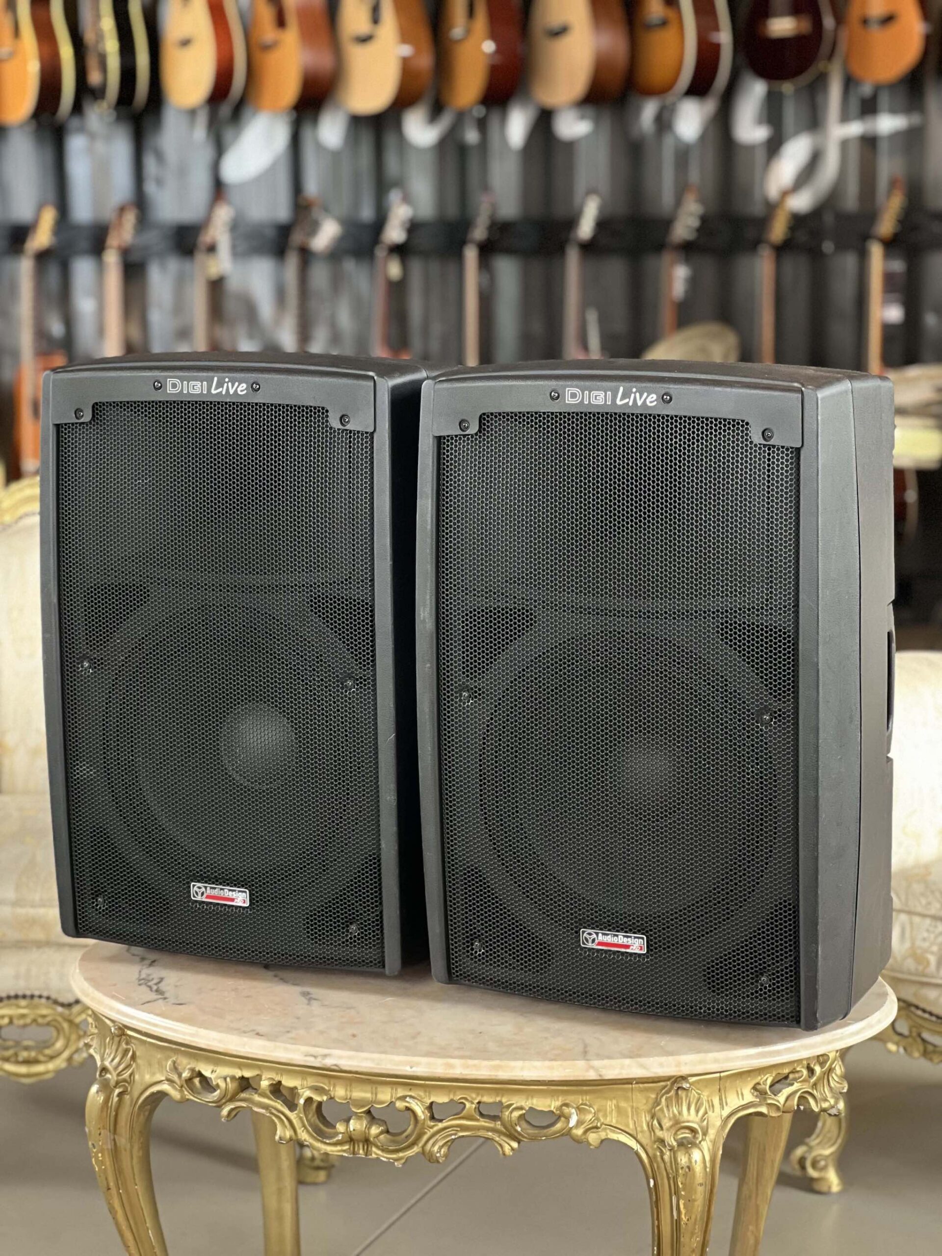 AUDIODESIGN DigiLive 12 (Coppia-Pair)