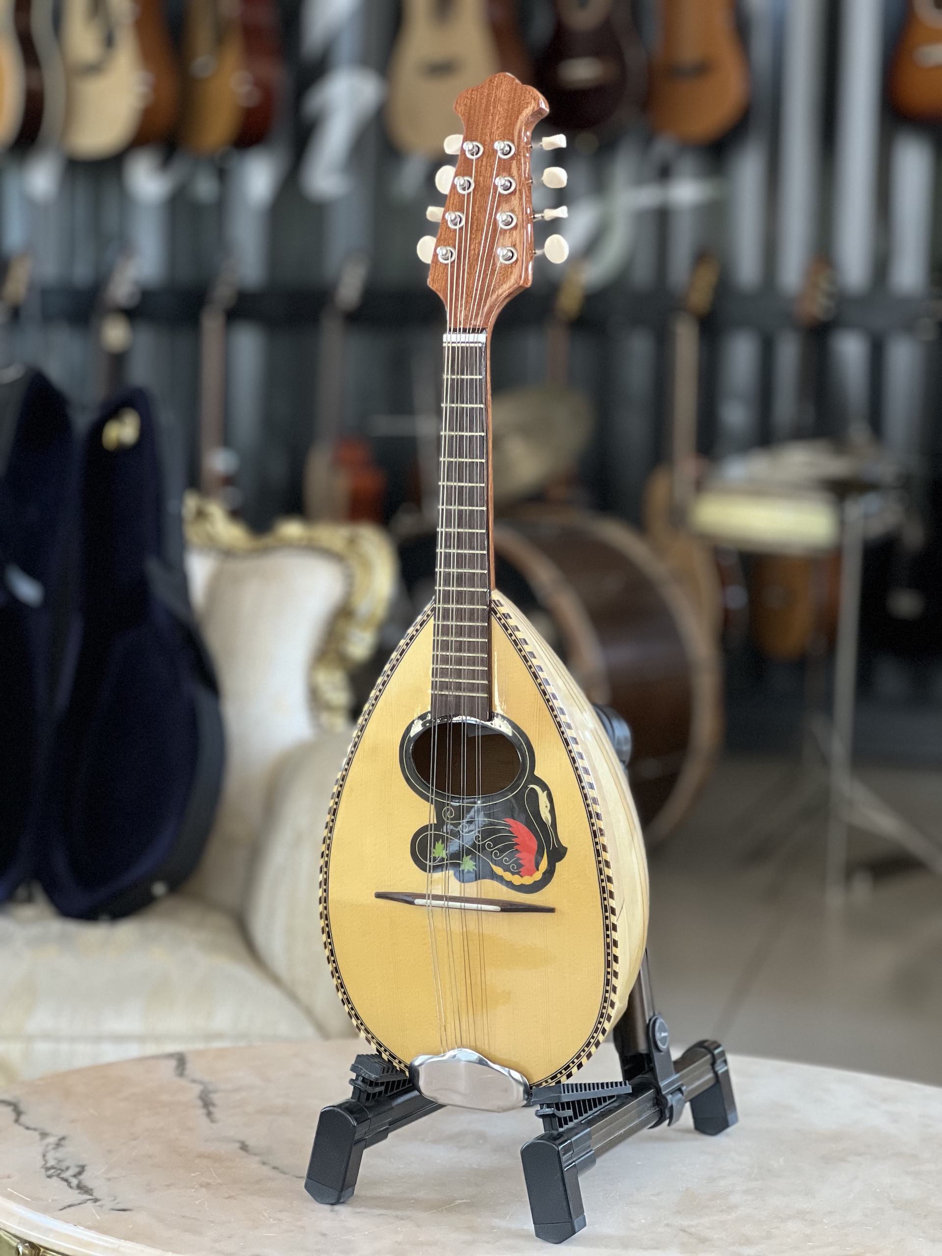 Mandolino Napoletano Comet n. 5 Concerto + Hardcase Dogal