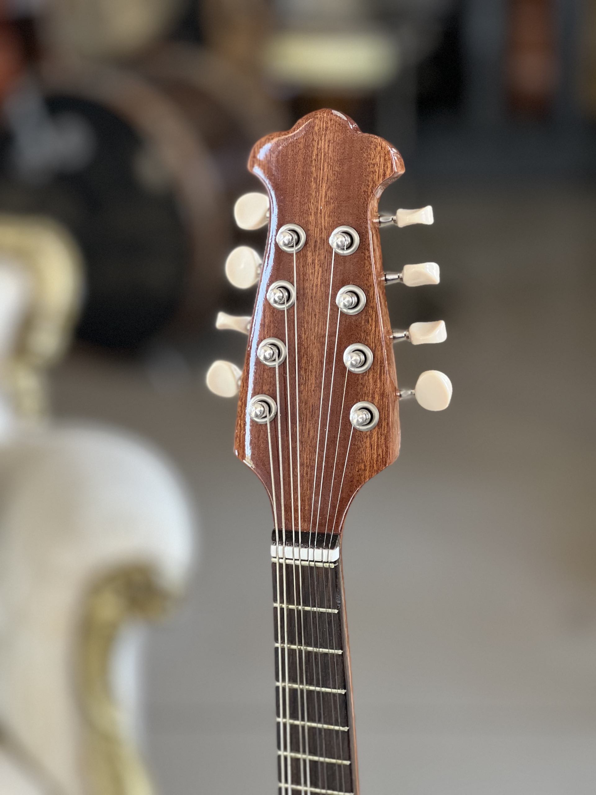 Mandolino Napoletano Comet n. 5 Concerto + Hardcase Dogal - immagine 5