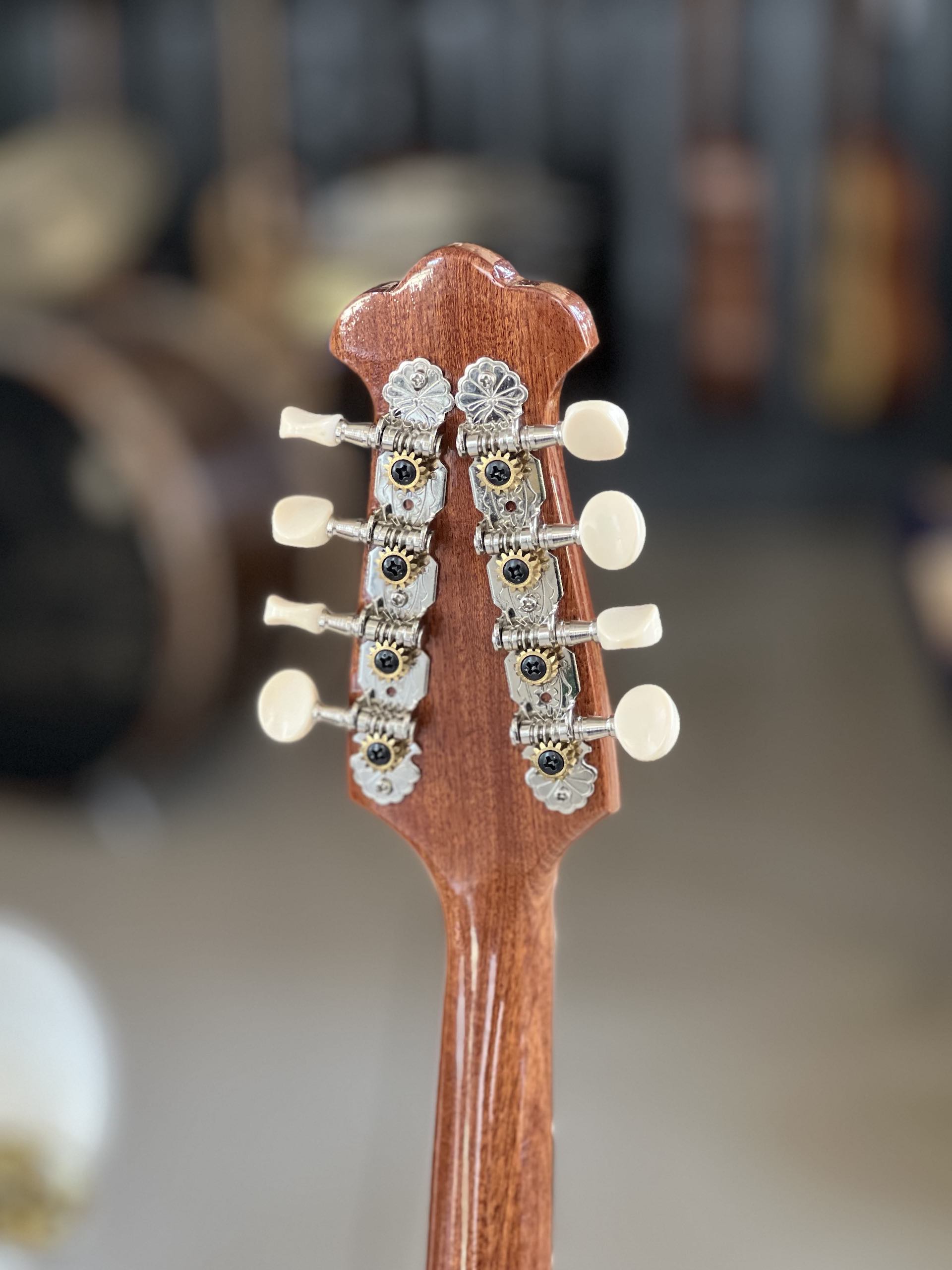Mandolino Napoletano Comet n. 5 Concerto + Hardcase Dogal - immagine 6