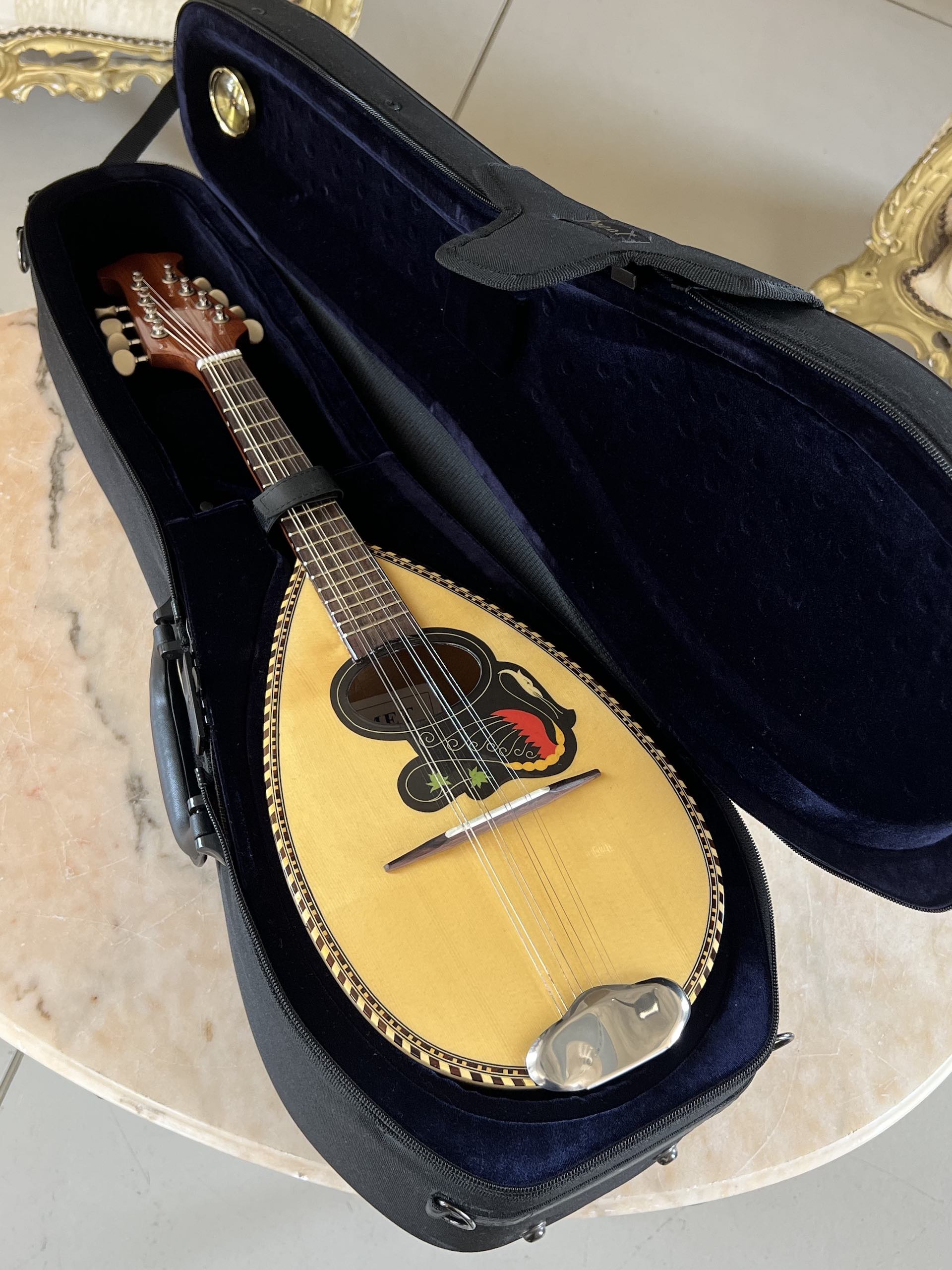 Mandolino Napoletano Comet n. 5 Concerto + Hardcase Dogal - immagine 10