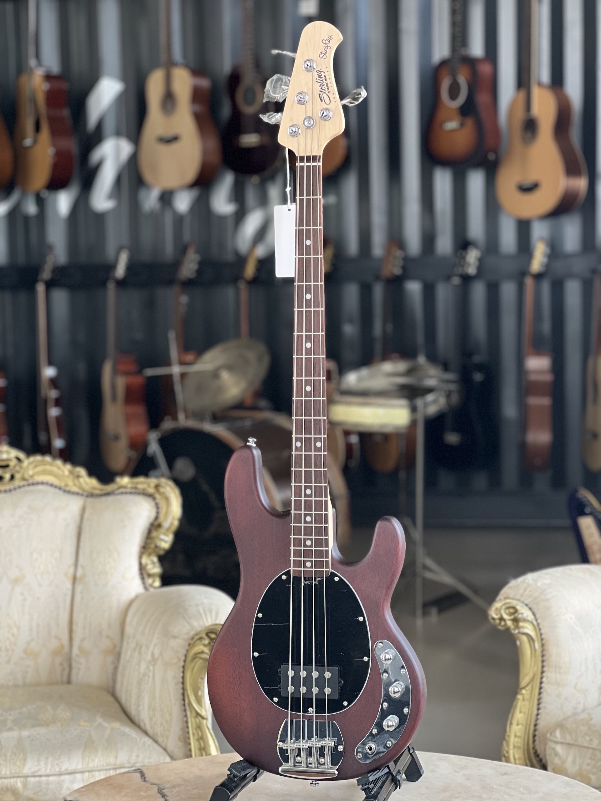 STERLING BY MUSIC MAN StingRay Ray4 Walnut Satin