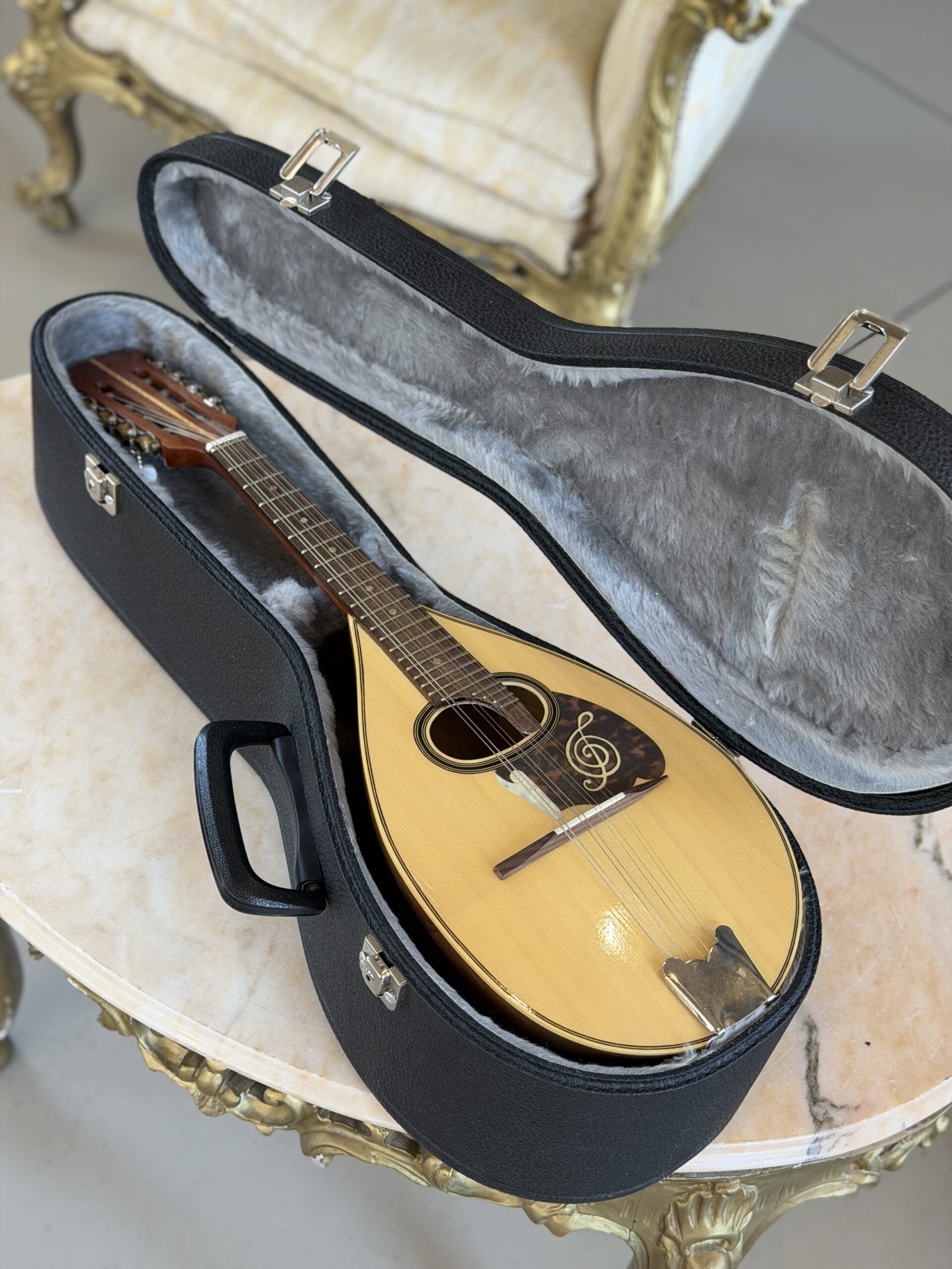 Mandolino No Brand + Hardcase - immagine 7
