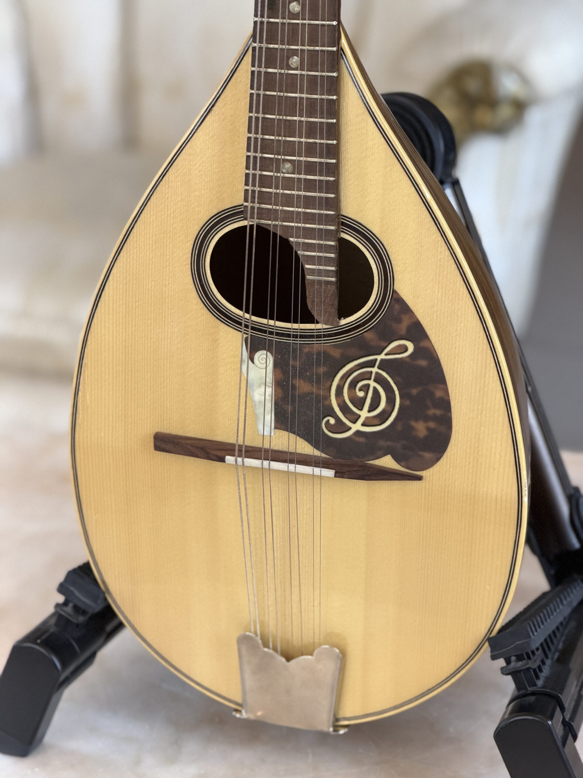 Mandolino No Brand + Hardcase - immagine 2