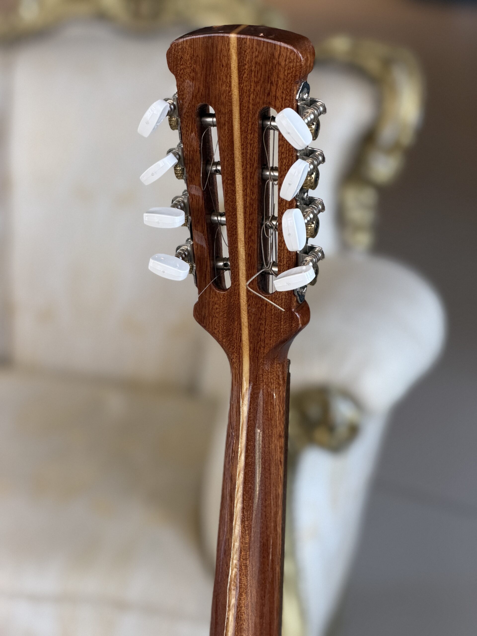 Mandolino No Brand + Hardcase - immagine 5