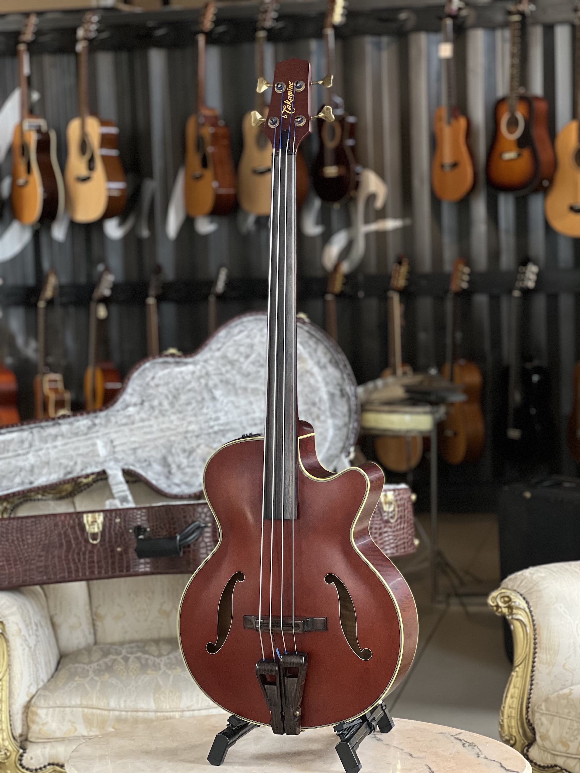 TAKAMINE TB10