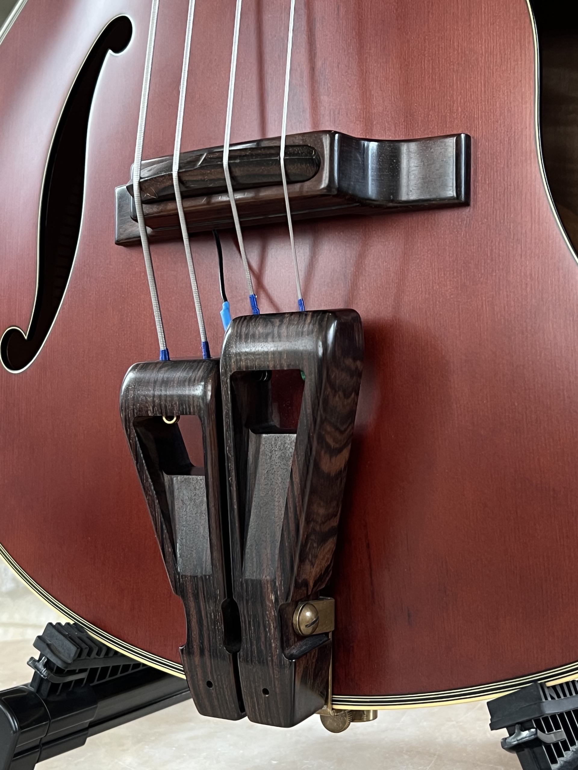 TAKAMINE TB10 - immagine 3