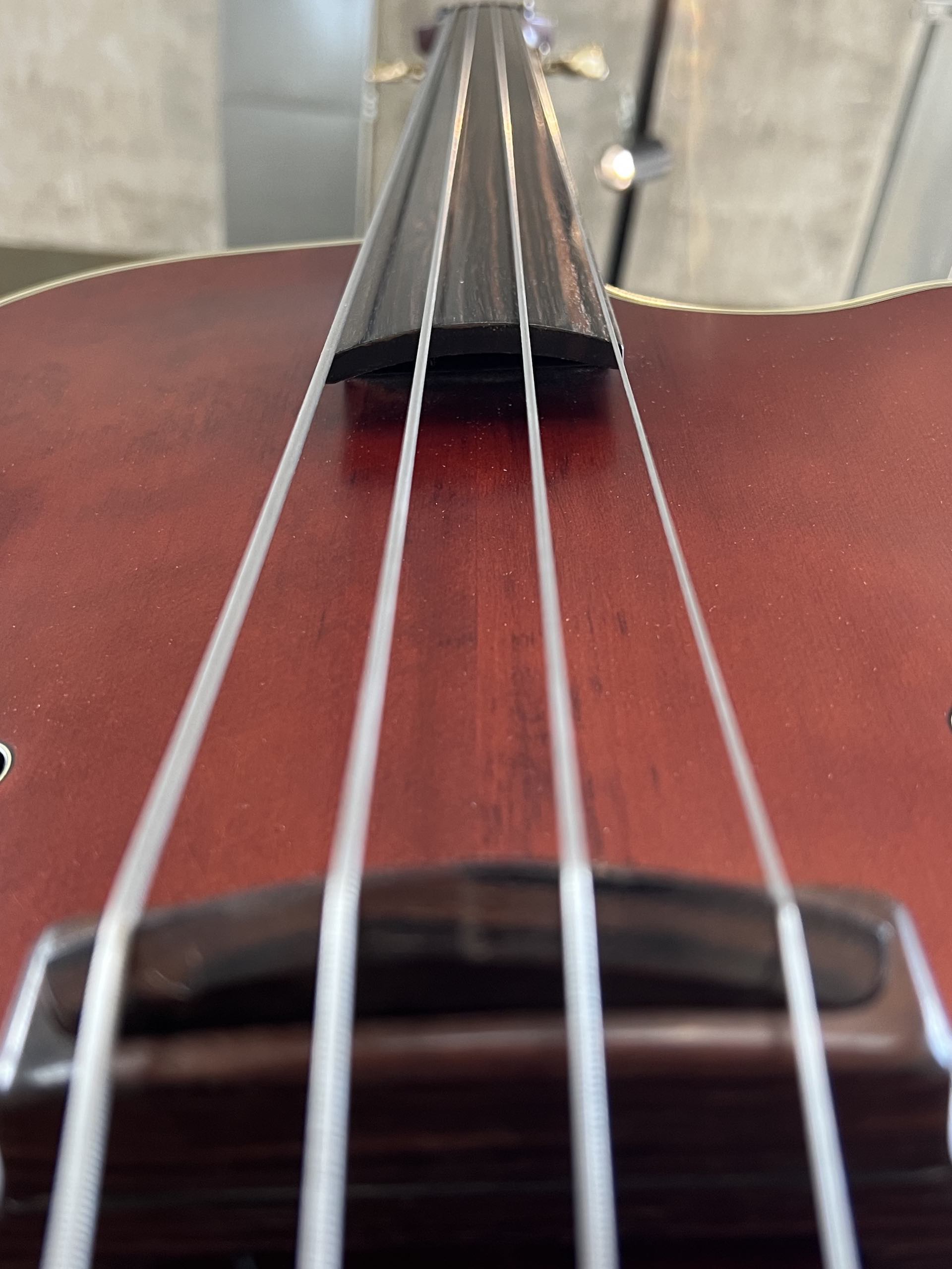 TAKAMINE TB10 - immagine 8