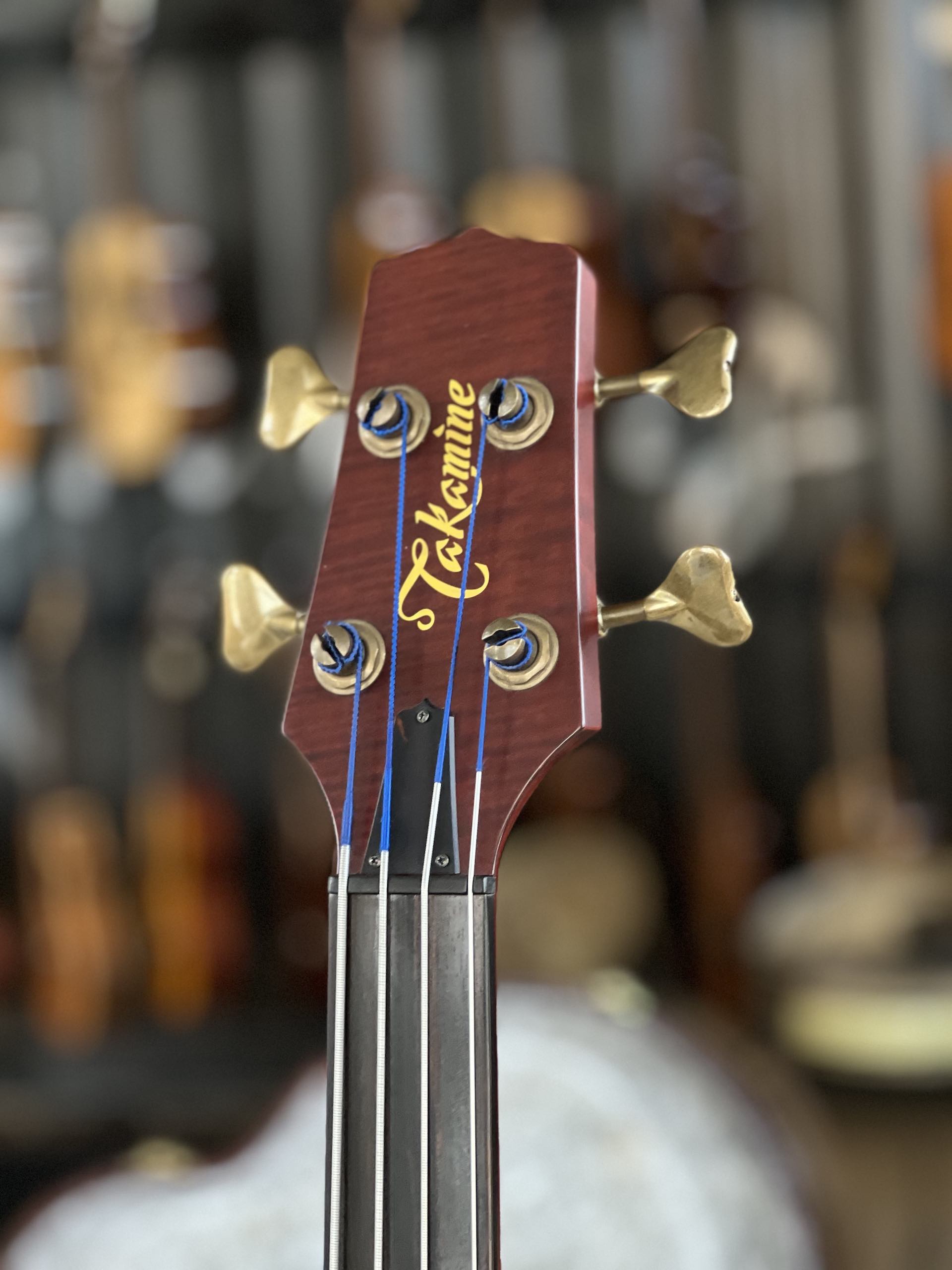 TAKAMINE TB10 - immagine 9