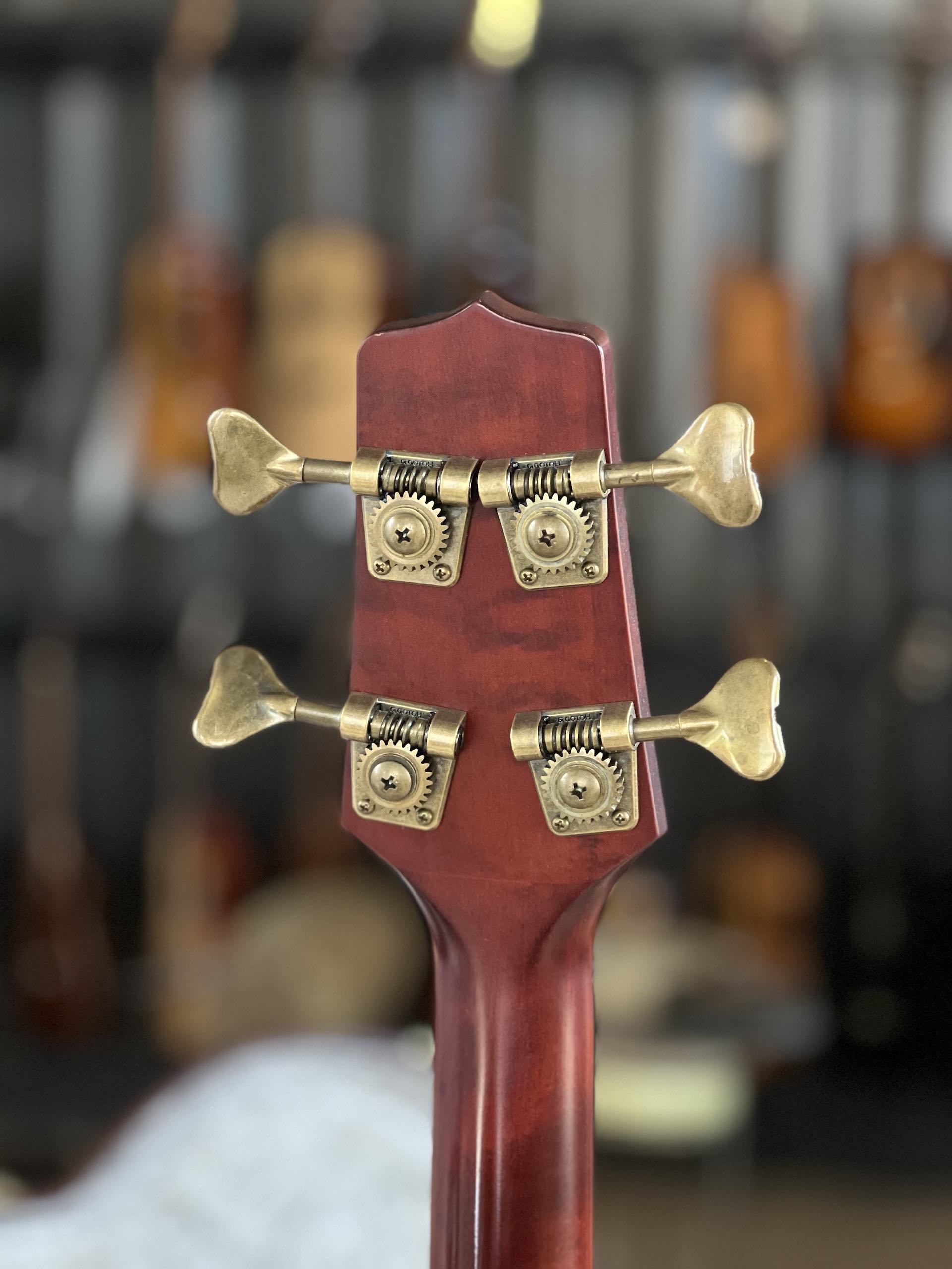 TAKAMINE TB10 - immagine 11