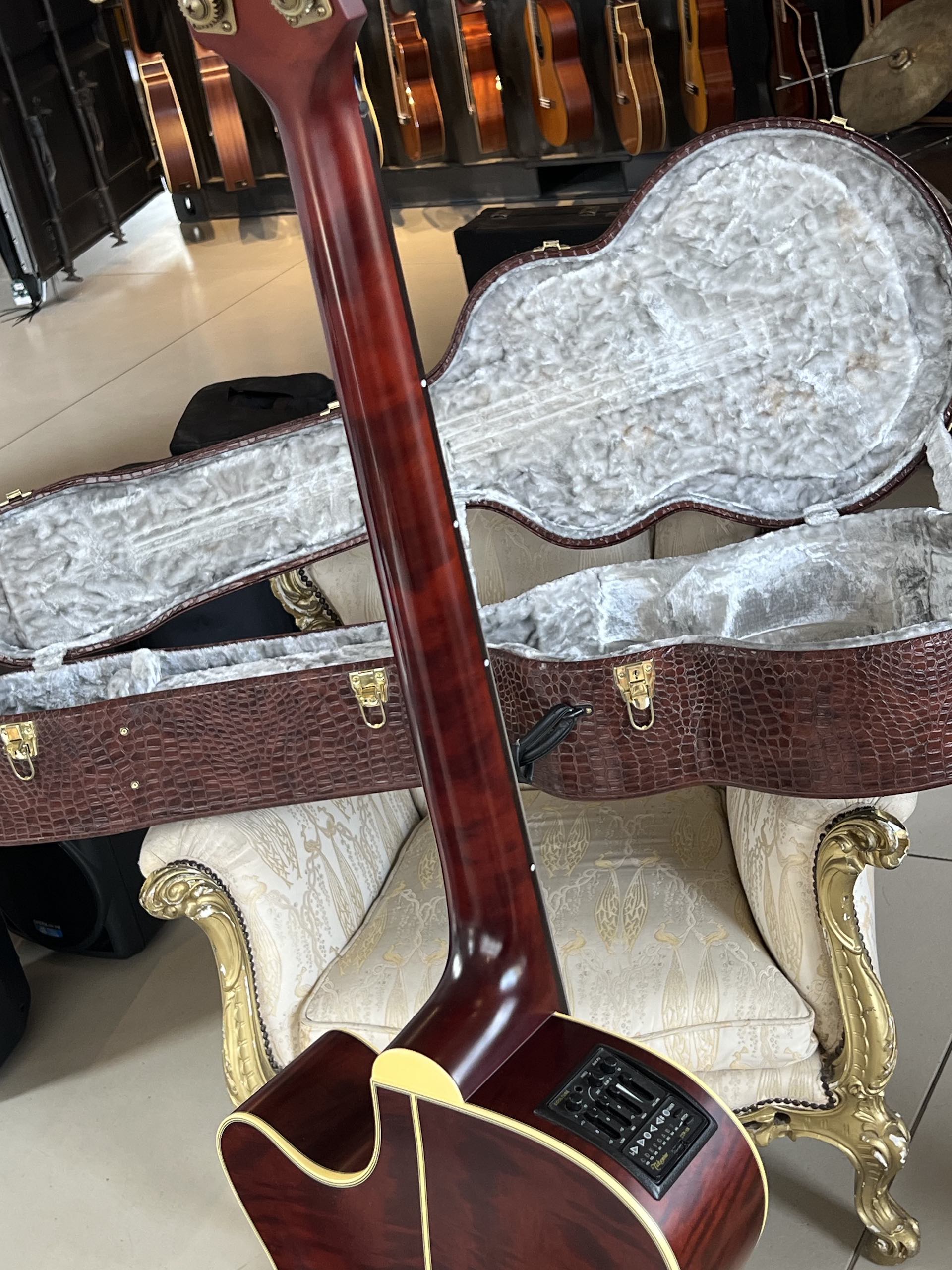 TAKAMINE TB10 - immagine 13