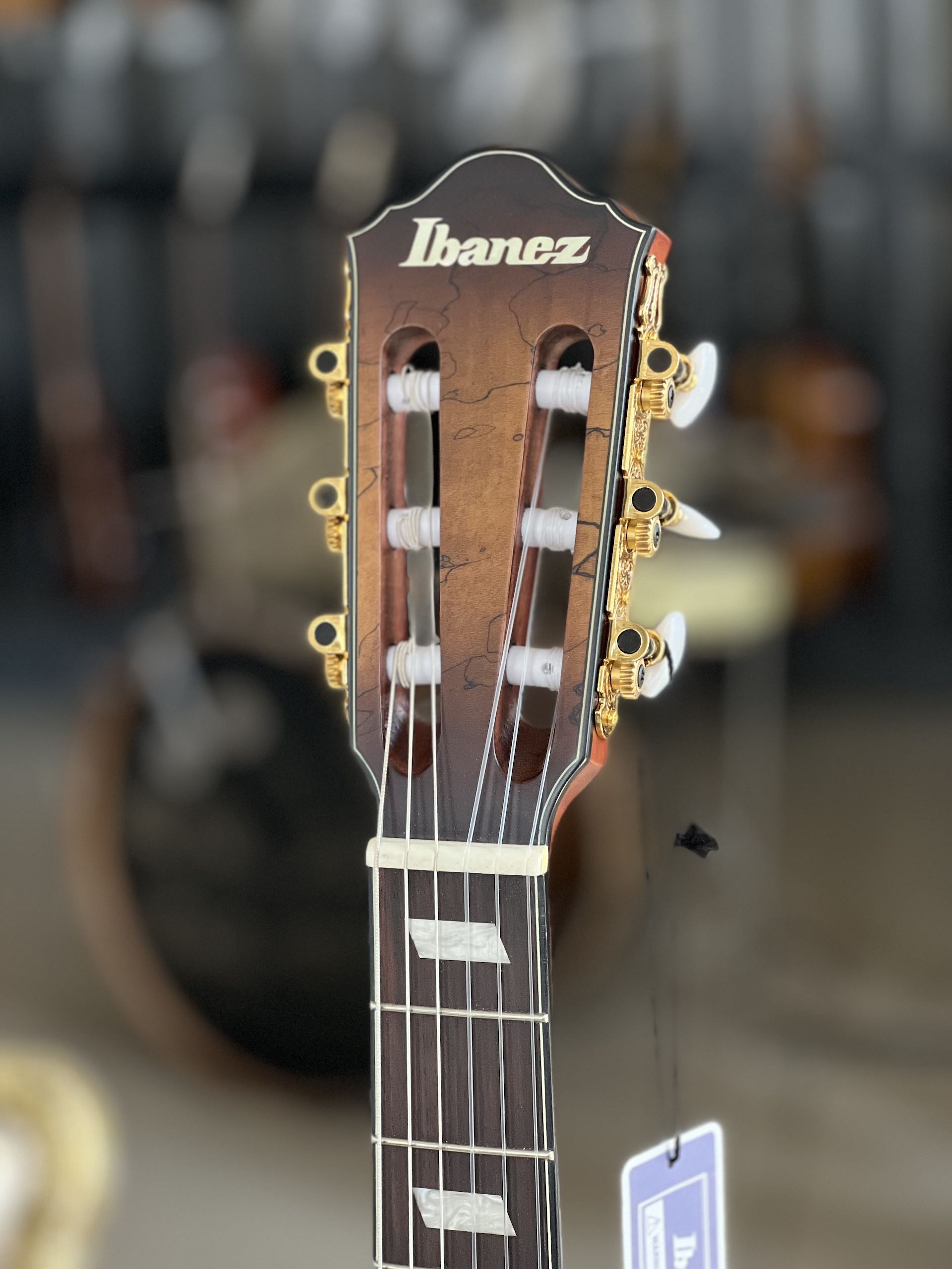 IBANEZ FRH20SMN-TCL SEMIACUSTICA - immagine 4