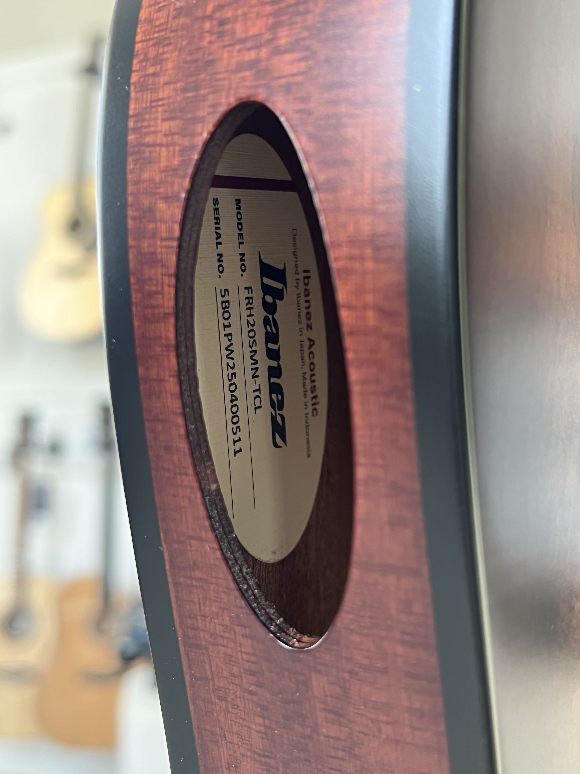 IBANEZ FRH20SMN-TCL SEMIACUSTICA - immagine 6