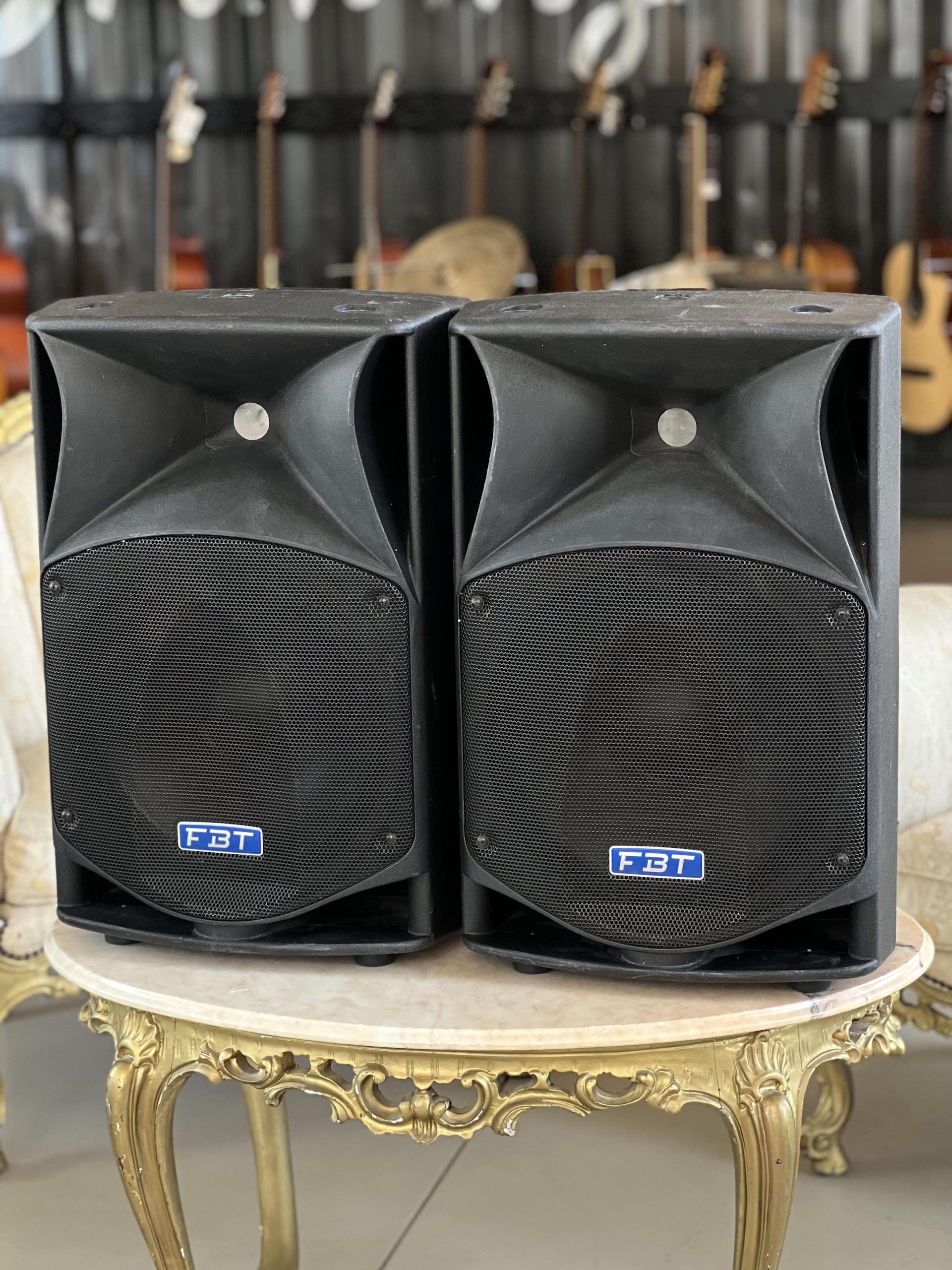 FBT Pro MaxX 14a (coppia - pair) + Original Cover