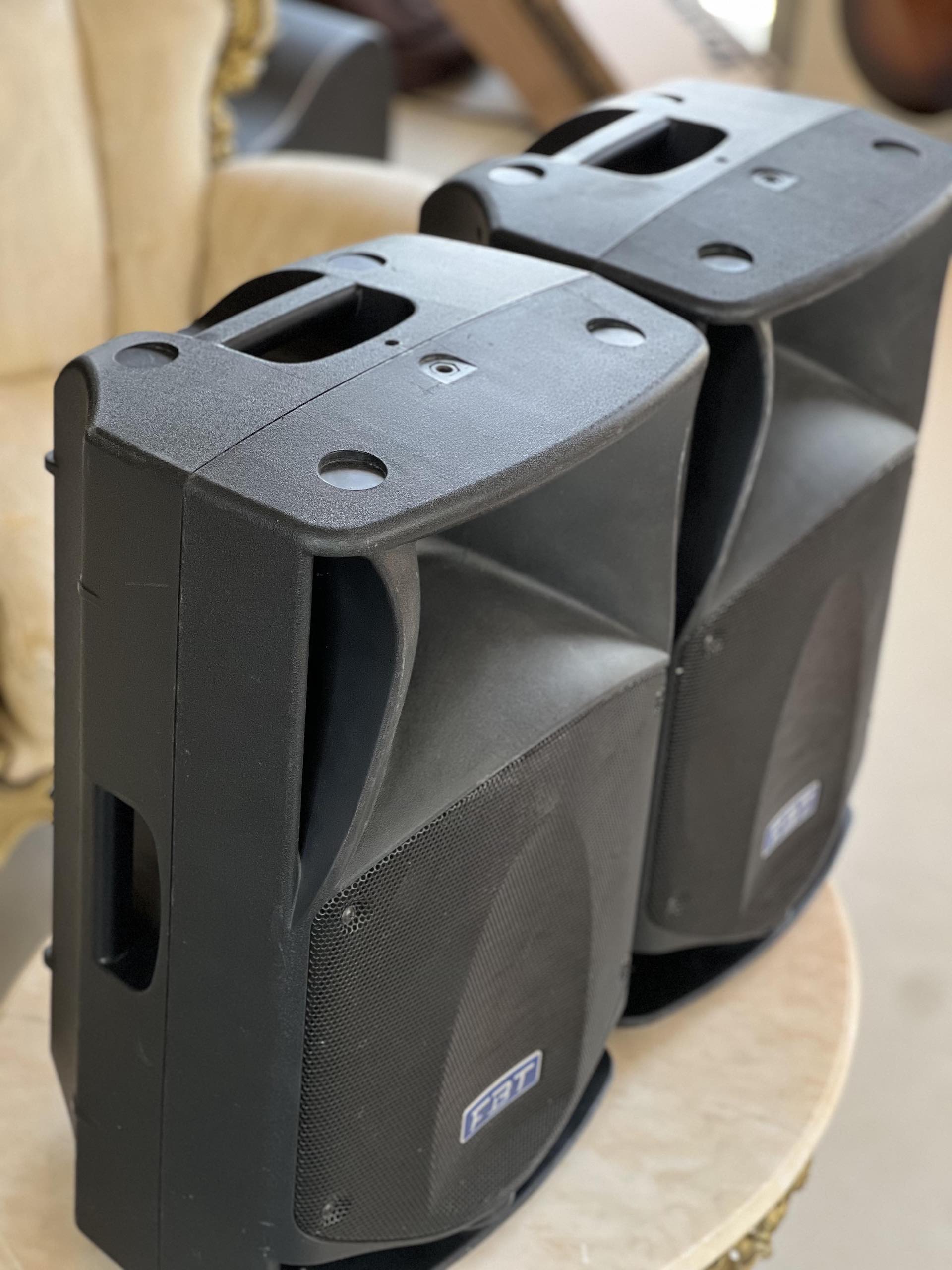 FBT Pro MaxX 14a (coppia - pair) + Original Cover - immagine 3