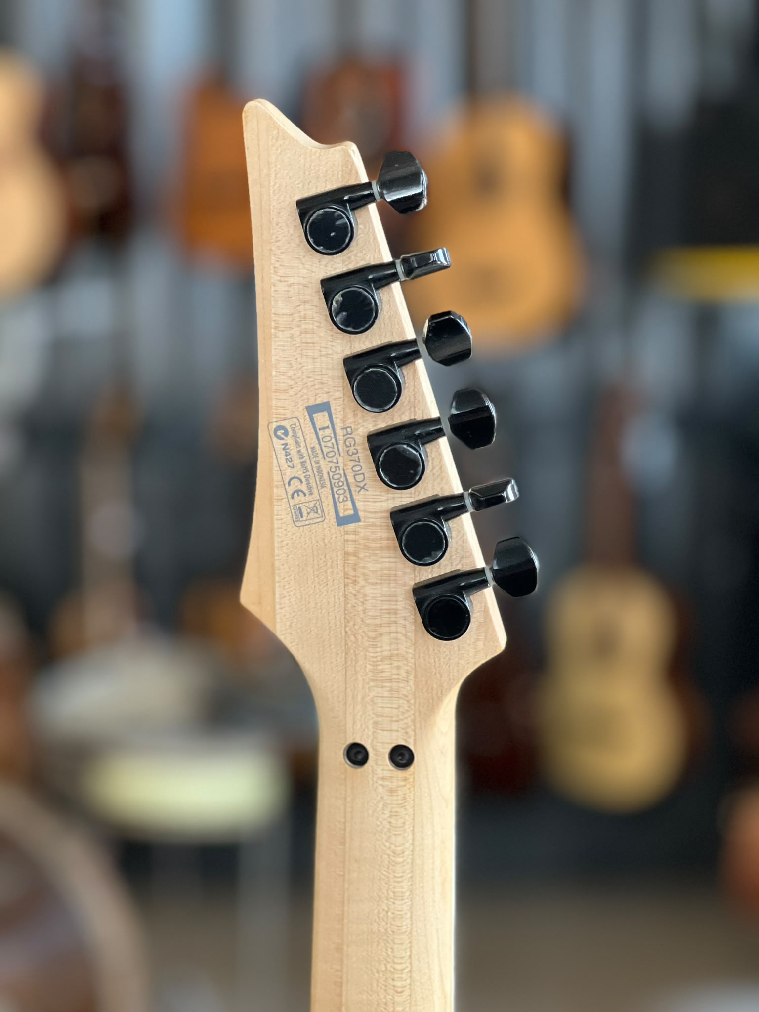 IBANEZ RG370DX - Blue - immagine 6