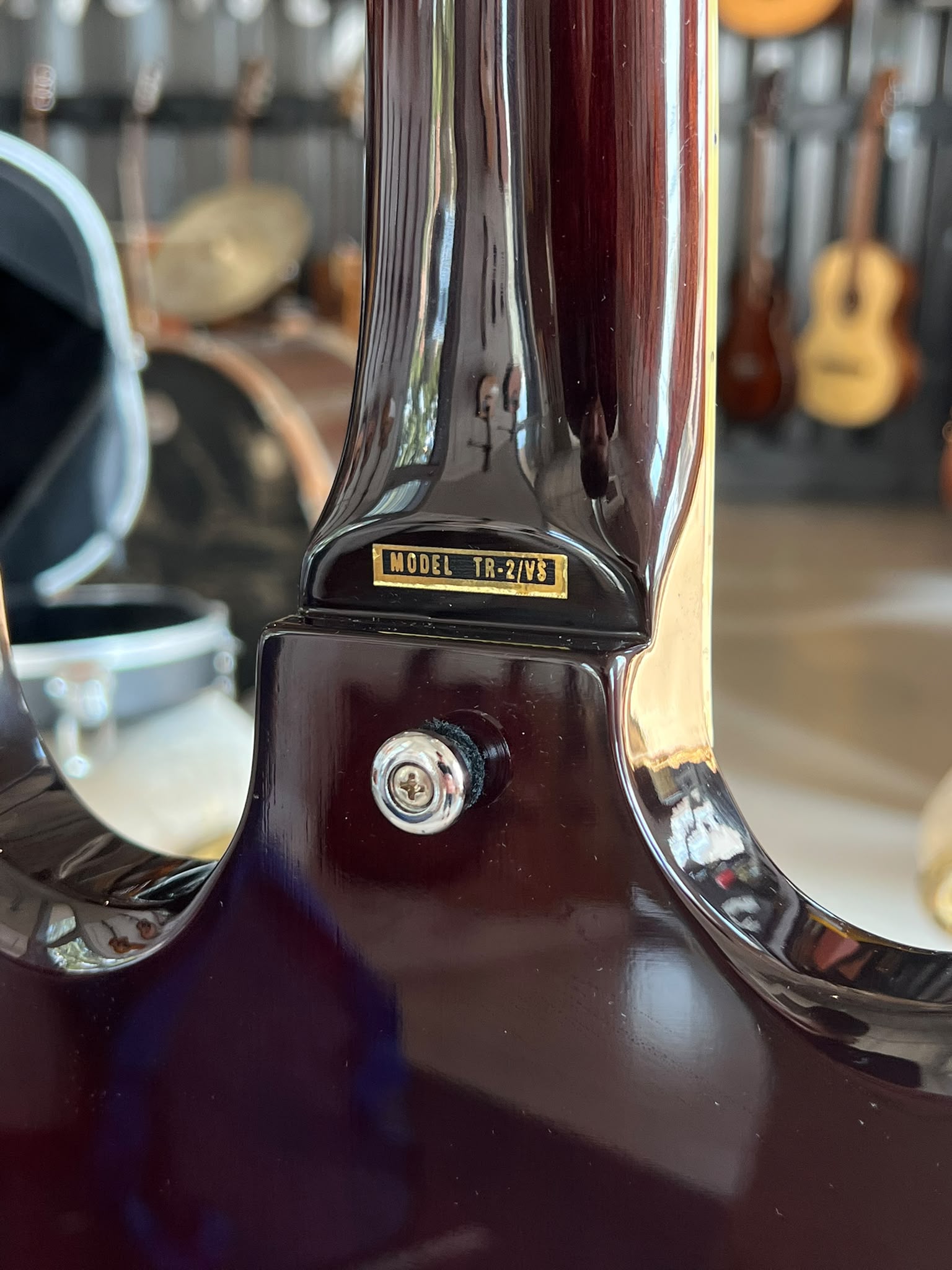GREG BENNETT TR2 VS - immagine 5