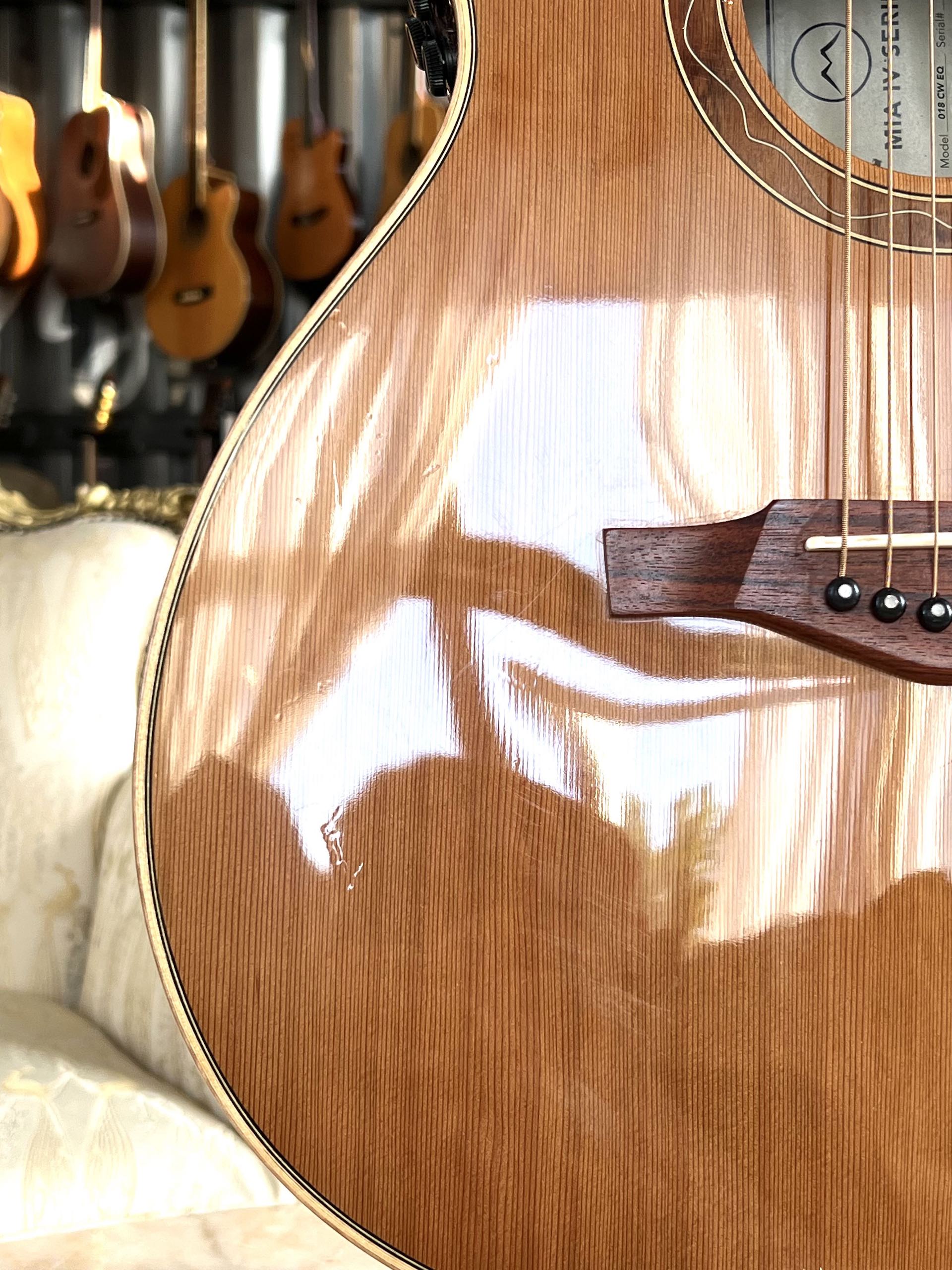EKO MIA IV SERIES 018 CW EQ - immagine 5