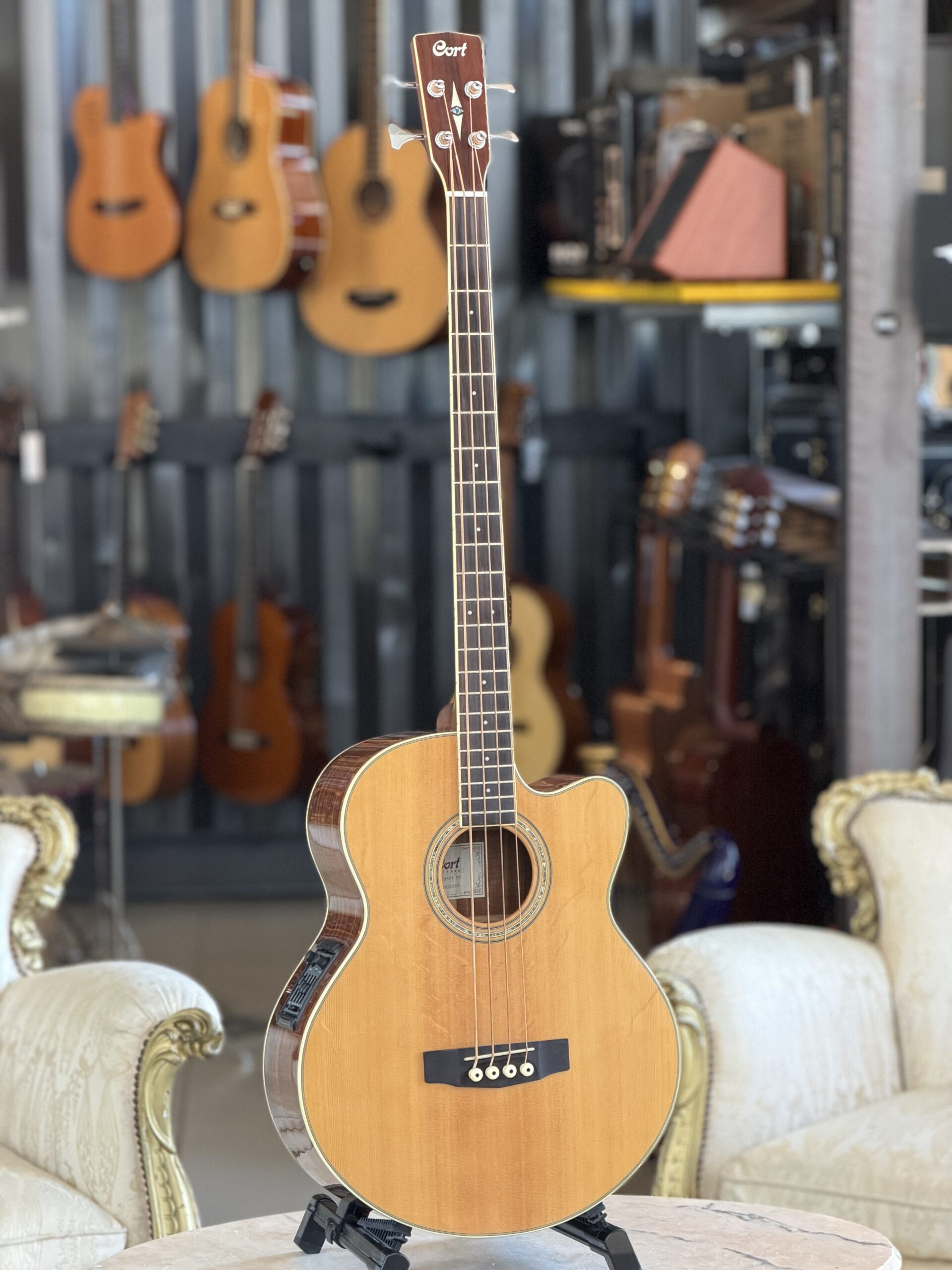 CORT SJB6 FX + GIGBAG