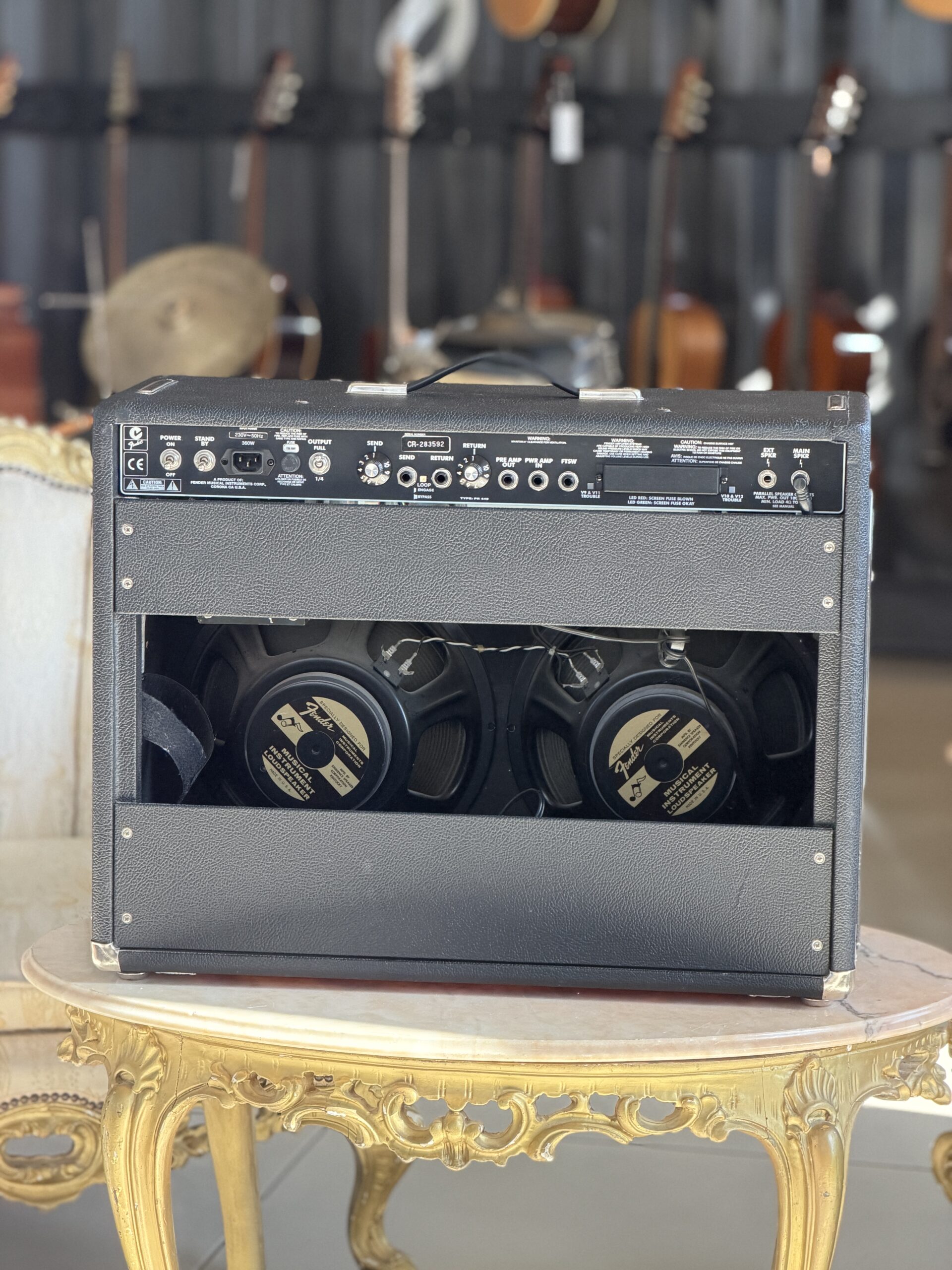 Fender Twin-Amp - immagine 3