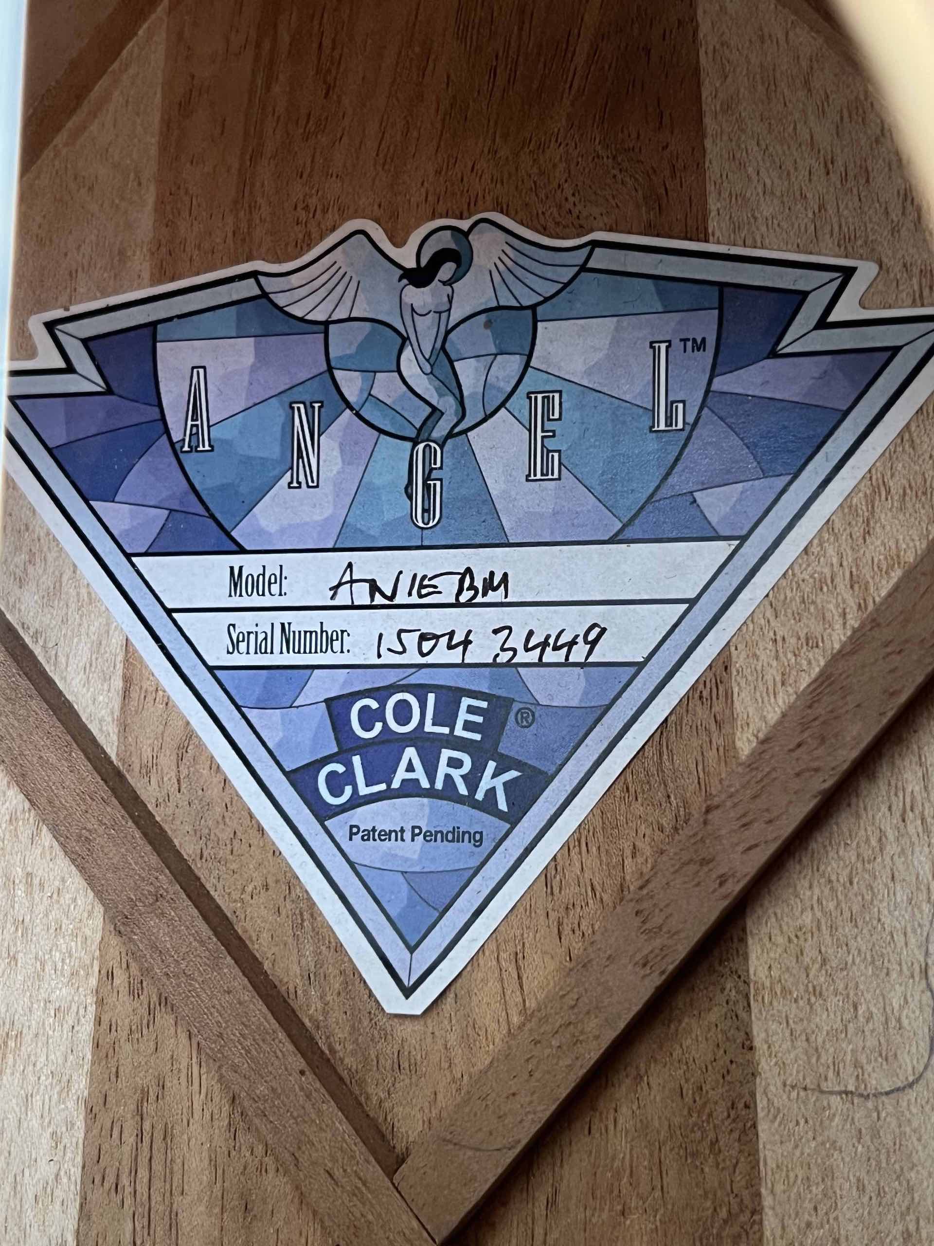 Cole Clark Angel AN1E-BM - immagine 7