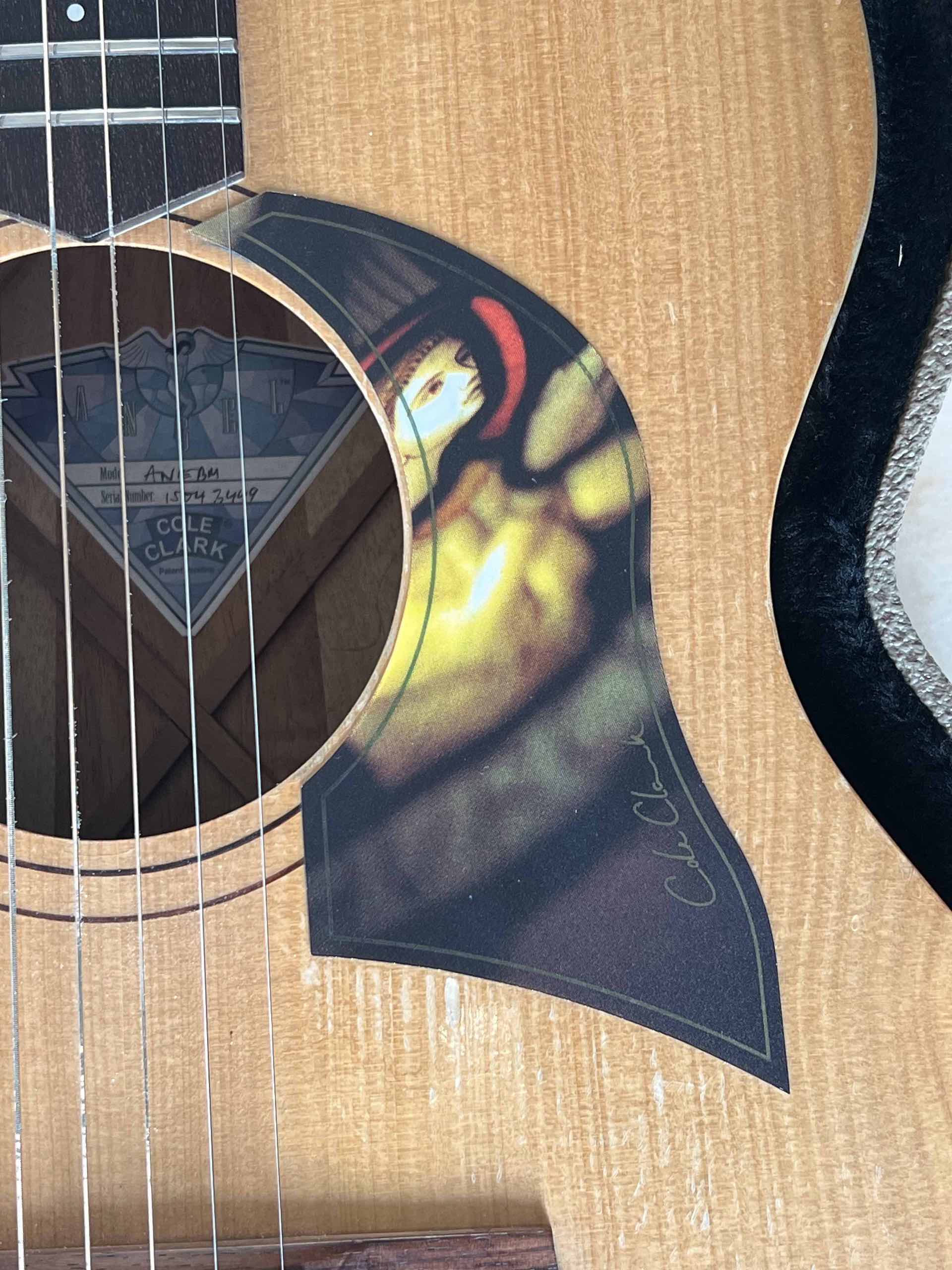Cole Clark Angel AN1E-BM - immagine 14