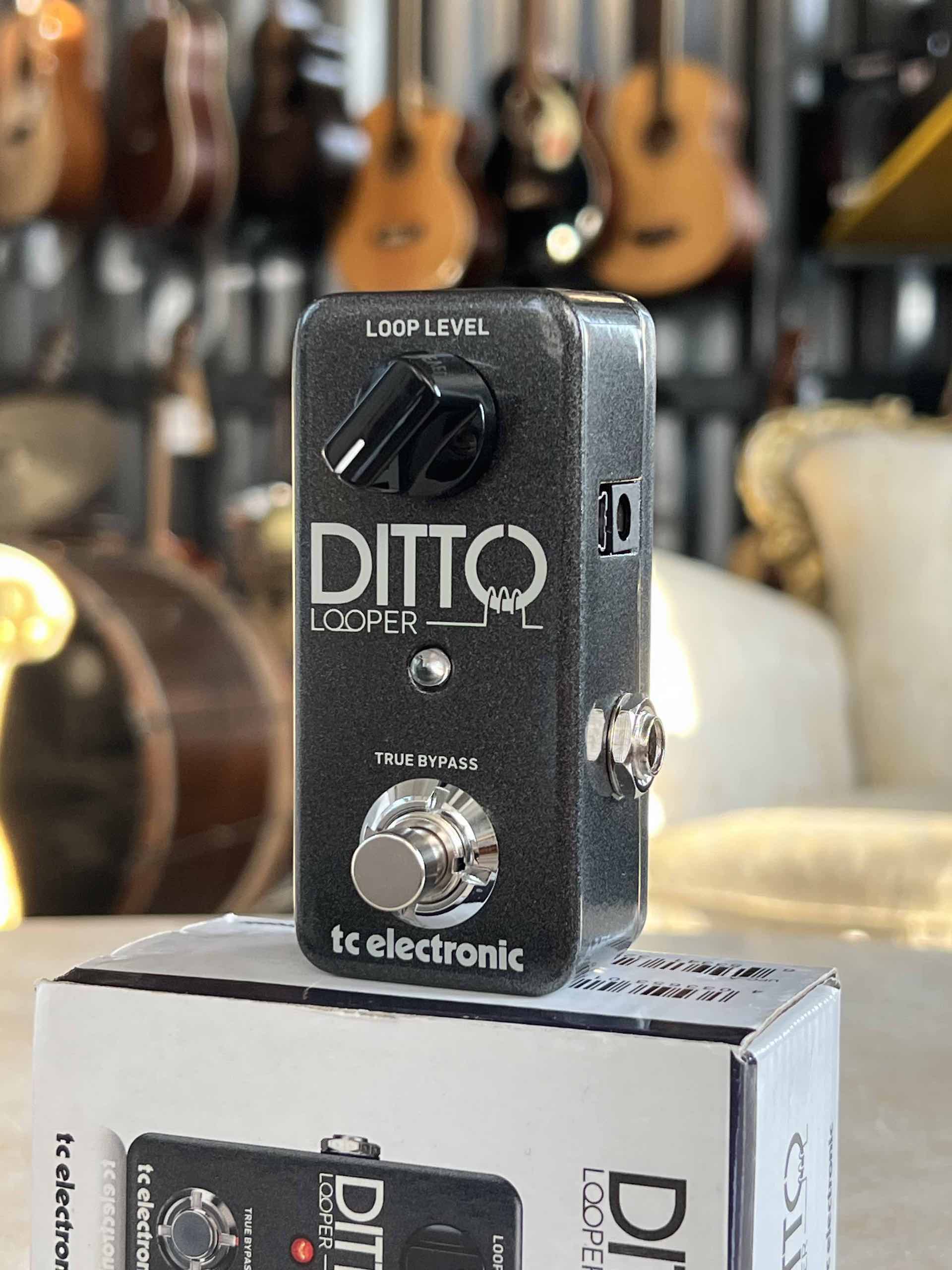 TC Electronic Ditto Looper