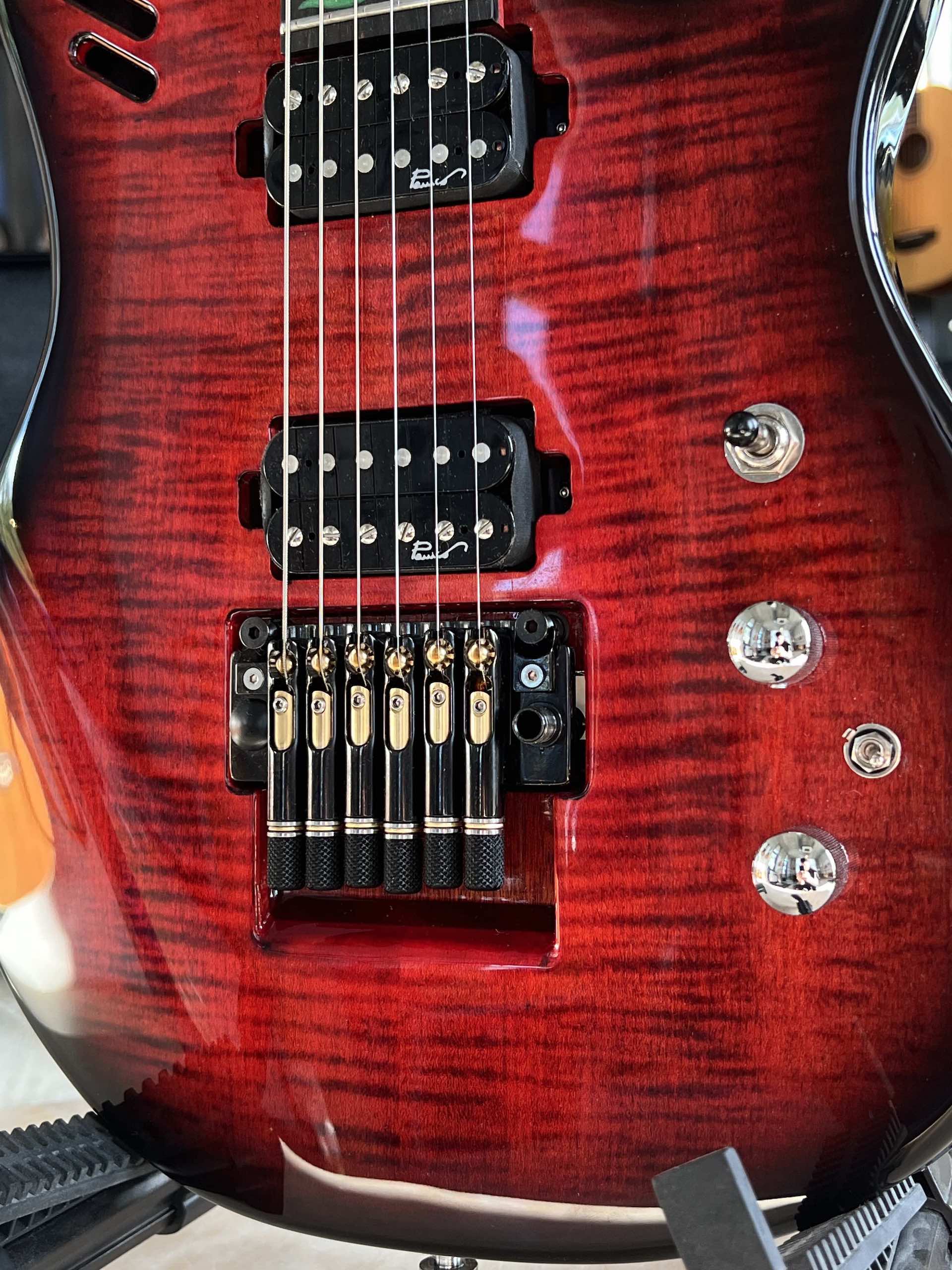 Panico Guitars M Series M569T - Translucent Red Black Burst - immagine 3