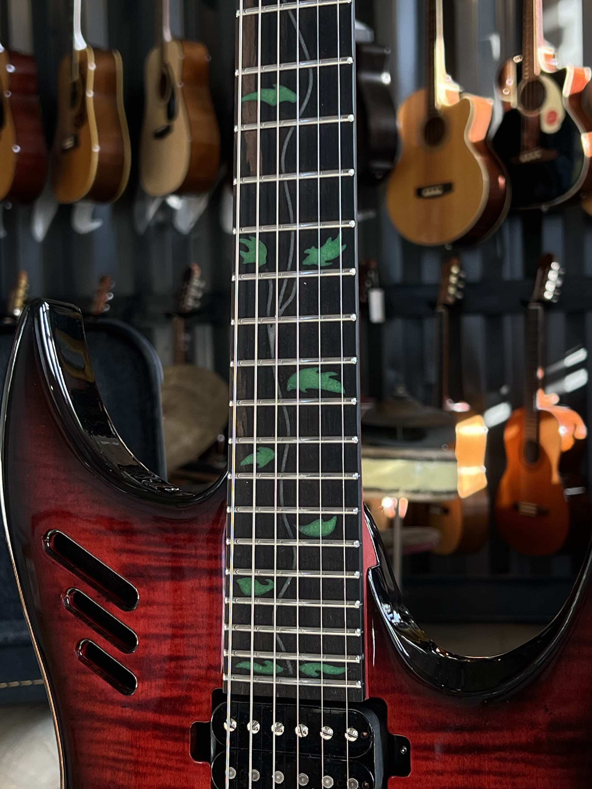 Panico Guitars M Series M569T - Translucent Red Black Burst - immagine 4