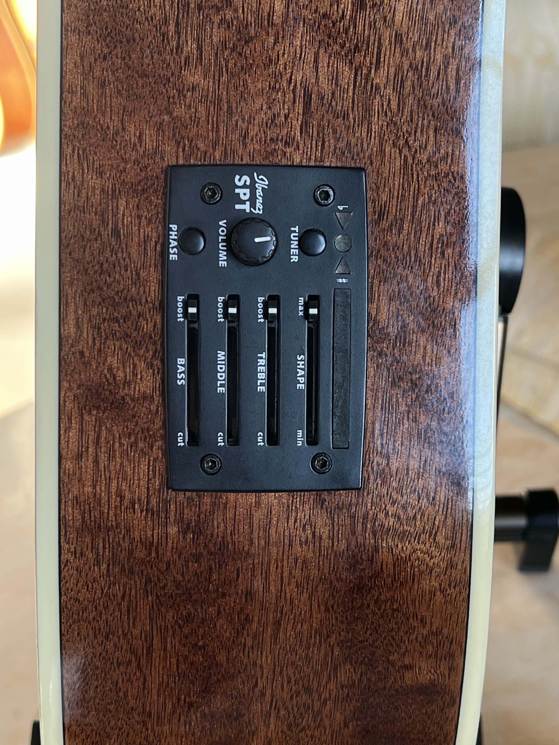 IBANEZ AW70ECE Natural - immagine 11