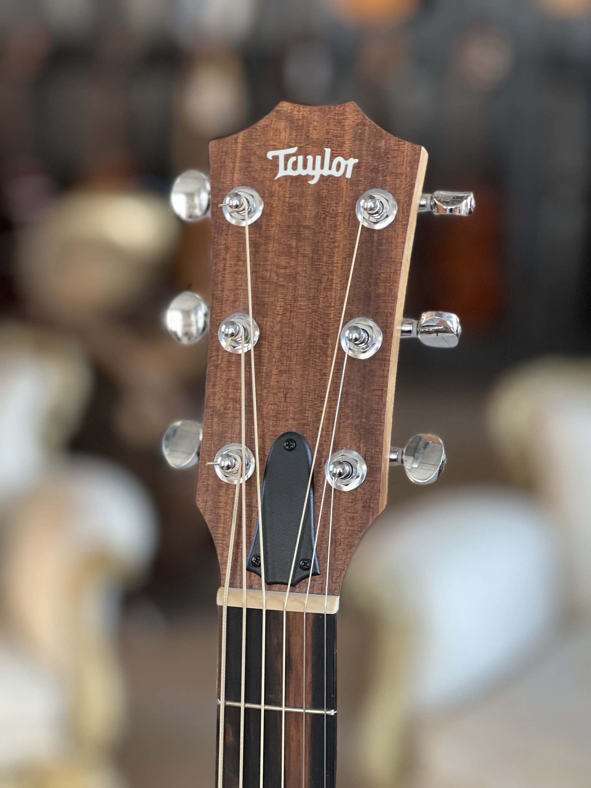 Taylor Big Baby BBT Walnut - immagine 7