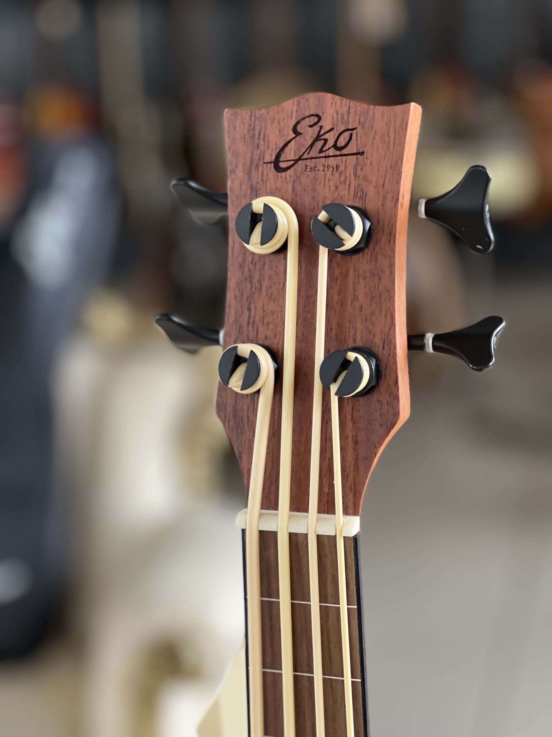 EKO Duo Ukubass Fretless - immagine 4