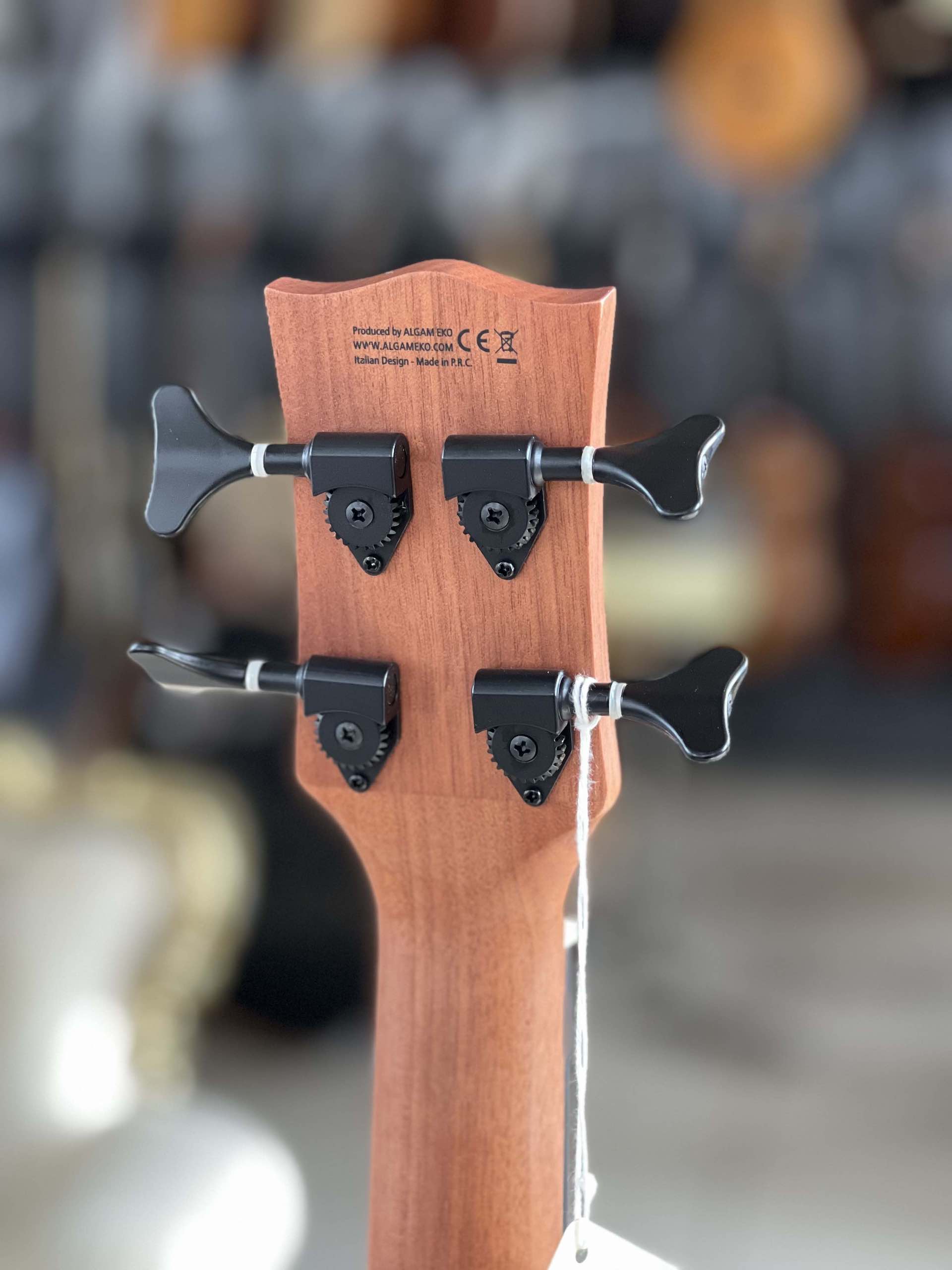 EKO Duo Ukubass Fretless - immagine 5